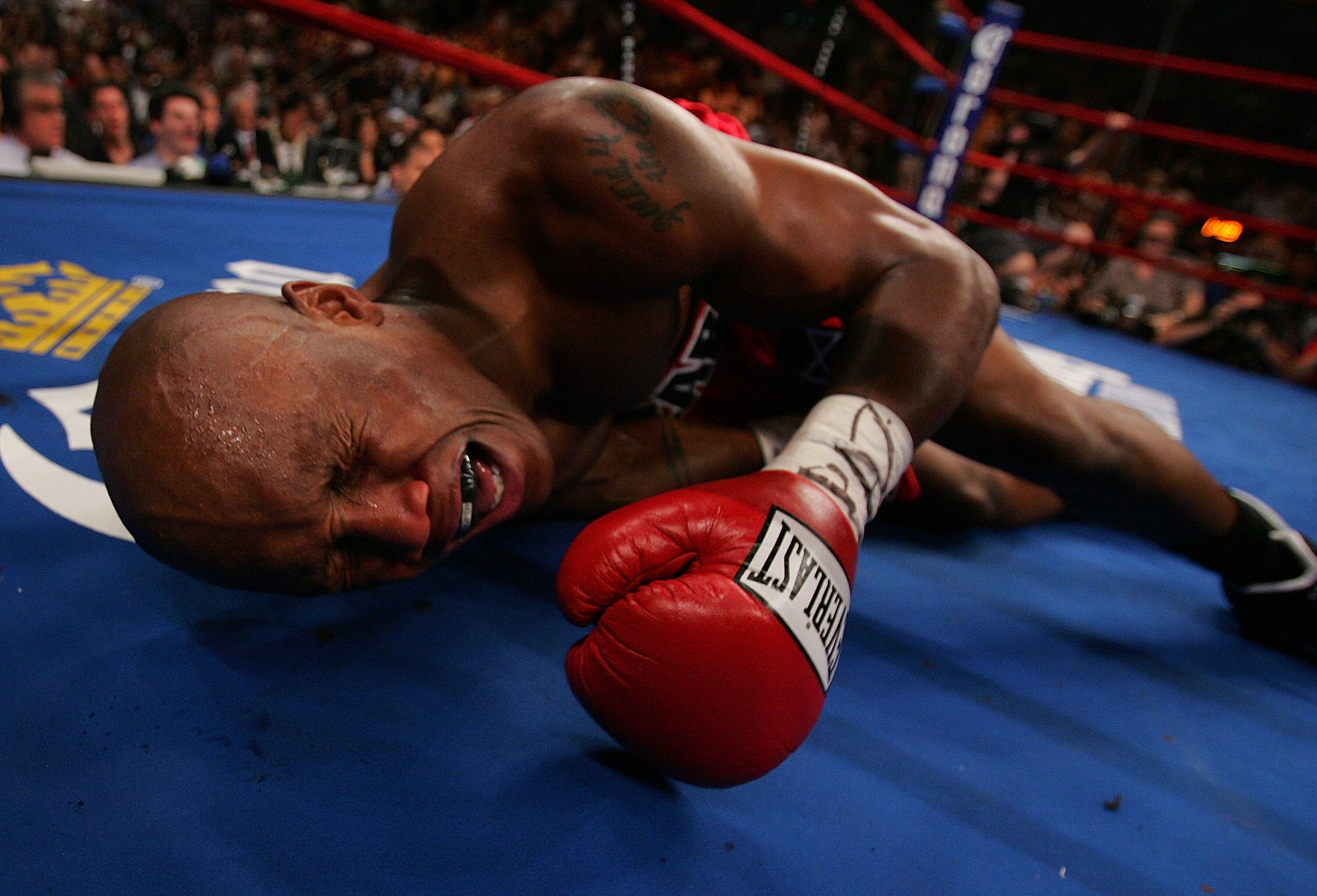 NEW YORK - JUNE 09:  Zab Judah lays in agony on the canvas after being hit by a second low blow by Miguel Cotto of Puerto Rico during their WBA Welterweight Championship bout on June 9, 2007 at Madison Square Garden in New York City.  (Photo by Nick Laham