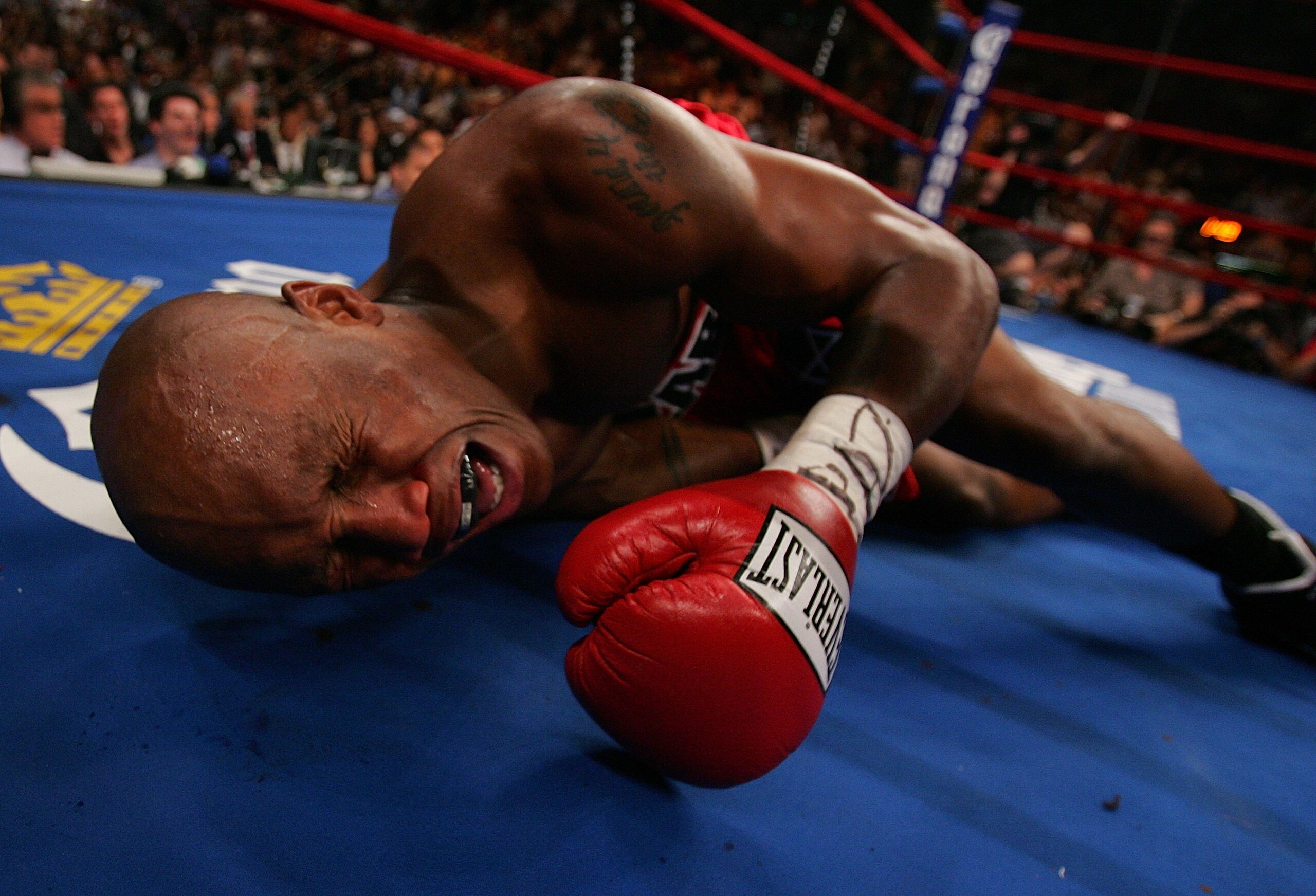 NEW YORK - JUNE 09:  Zab Judah lays in agony on the canvas after being hit by a second low blow by Miguel Cotto of Puerto Rico during their WBA Welterweight Championship bout on June 9, 2007 at Madison Square Garden in New York City.  (Photo by Nick Laham