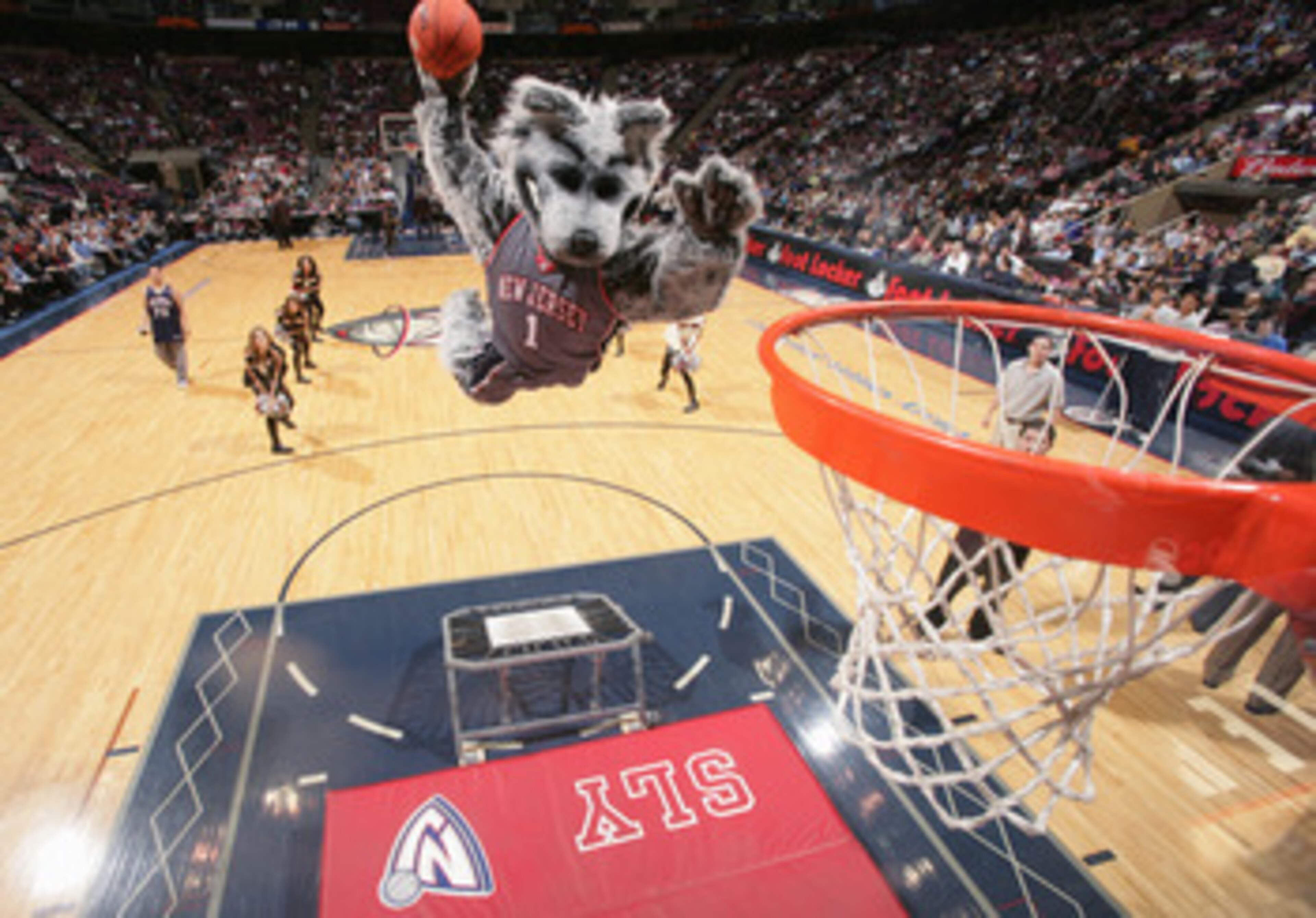 EAST RUTHERFORD, NJ - FEBRUARY 16:  Mascot Sly the Fox of the New Jersey Nets dunks before game action against the Sacramento Kings during their game on February 16, 2005 at the Continental Airlines Arena  in East Rutherford, New Jersey. The Nets won 96-8