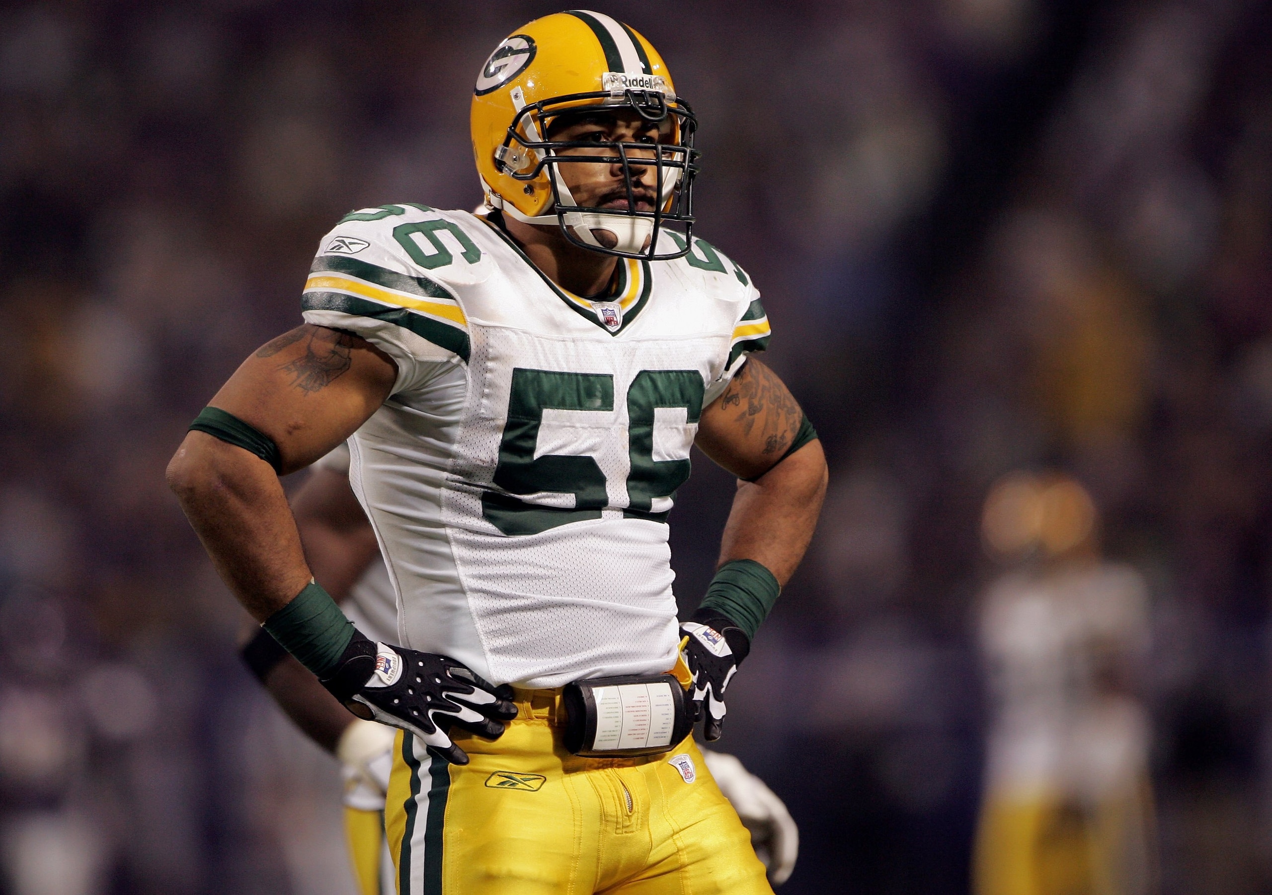 MINNEAPOLIS, MN - NOVEMBER 12:  Nick Barnett #56 of the Green Bay Packers poses after sacking quarterback Brad Johnson #14 of the Minnesota Vikings as the Packers defeated the Vikings 23-17 on November 12, 2006, at the Metrodome in Minneapolis, Minnesota.
