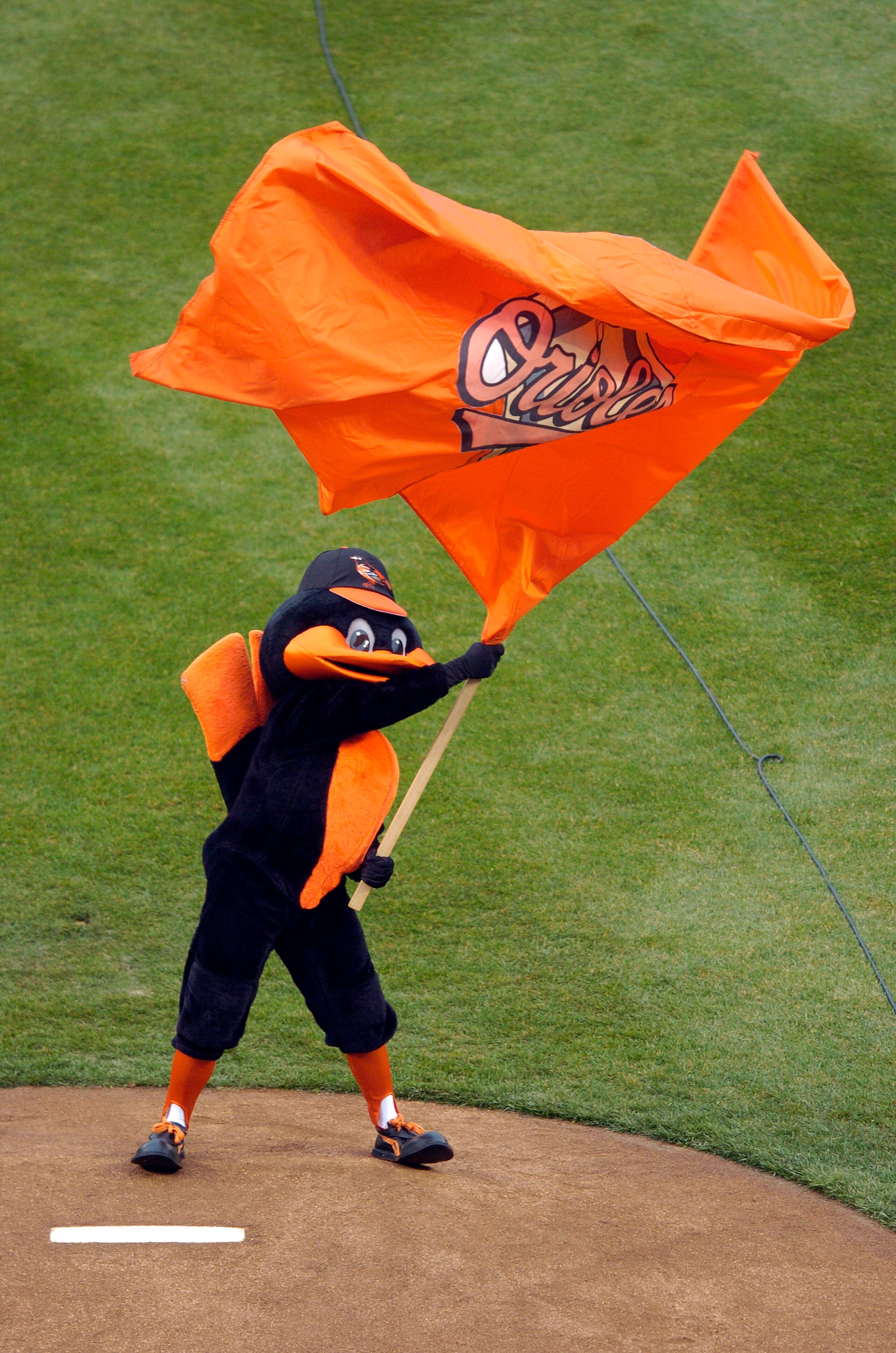 BALTIMORE - MARCH 31:  The Baltimore Orioles mascot waves a flag during the introductions before the game against the Tampa Bay Rays on Opening Day at Camden Yards March 31, 2008 in Baltimore, Maryland.  (Photo by Greg Fiume/Getty Images)