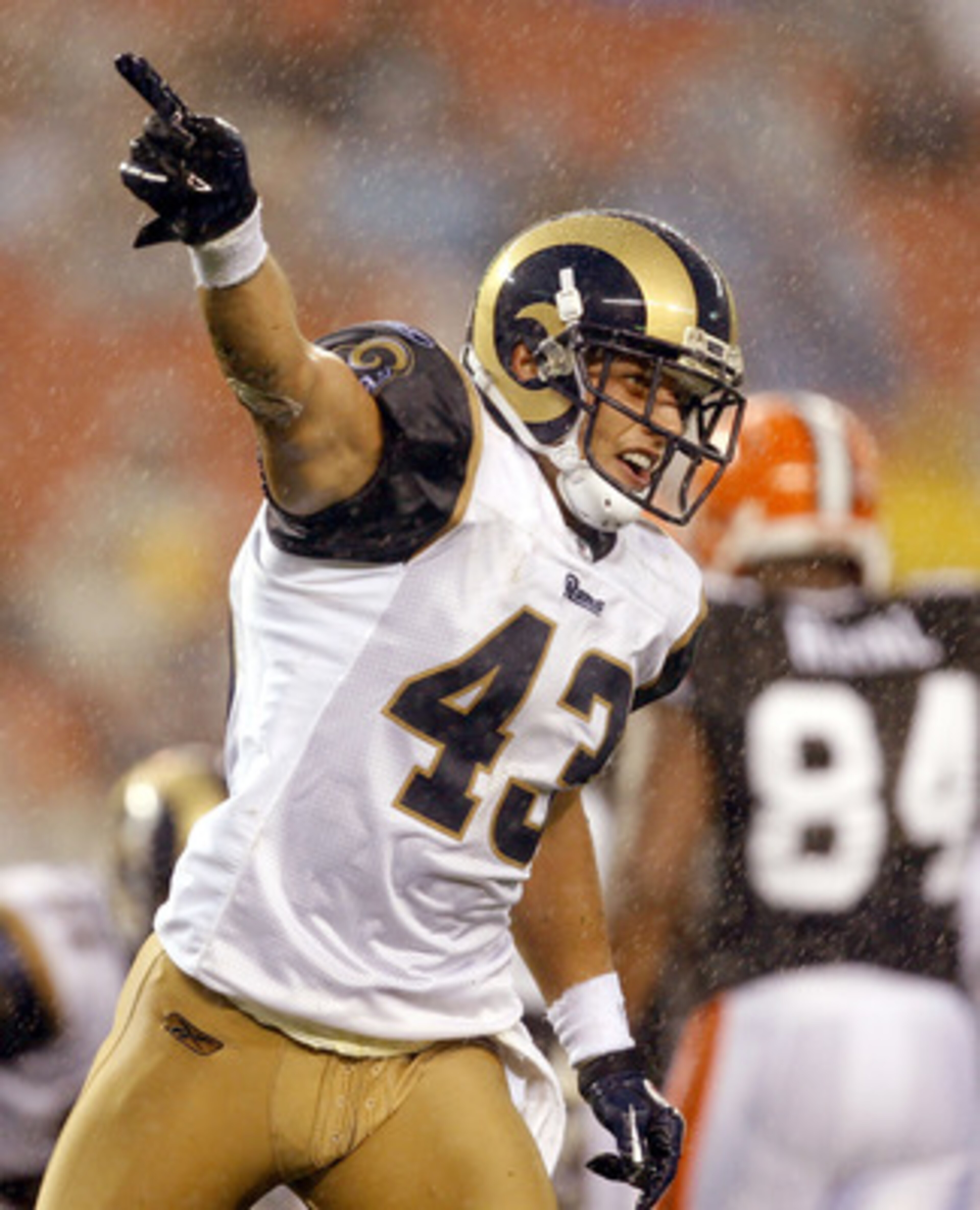 CLEVELAND - AUGUST 21:  Craig Dahl #43  of the St. Louis Rams celebrates a fumble recovery against the Cleveland Browns at Cleveland Browns Stadium on August 21, 2010 in Cleveland, Ohio.  (Photo by Matt Sullivan/Getty Images)