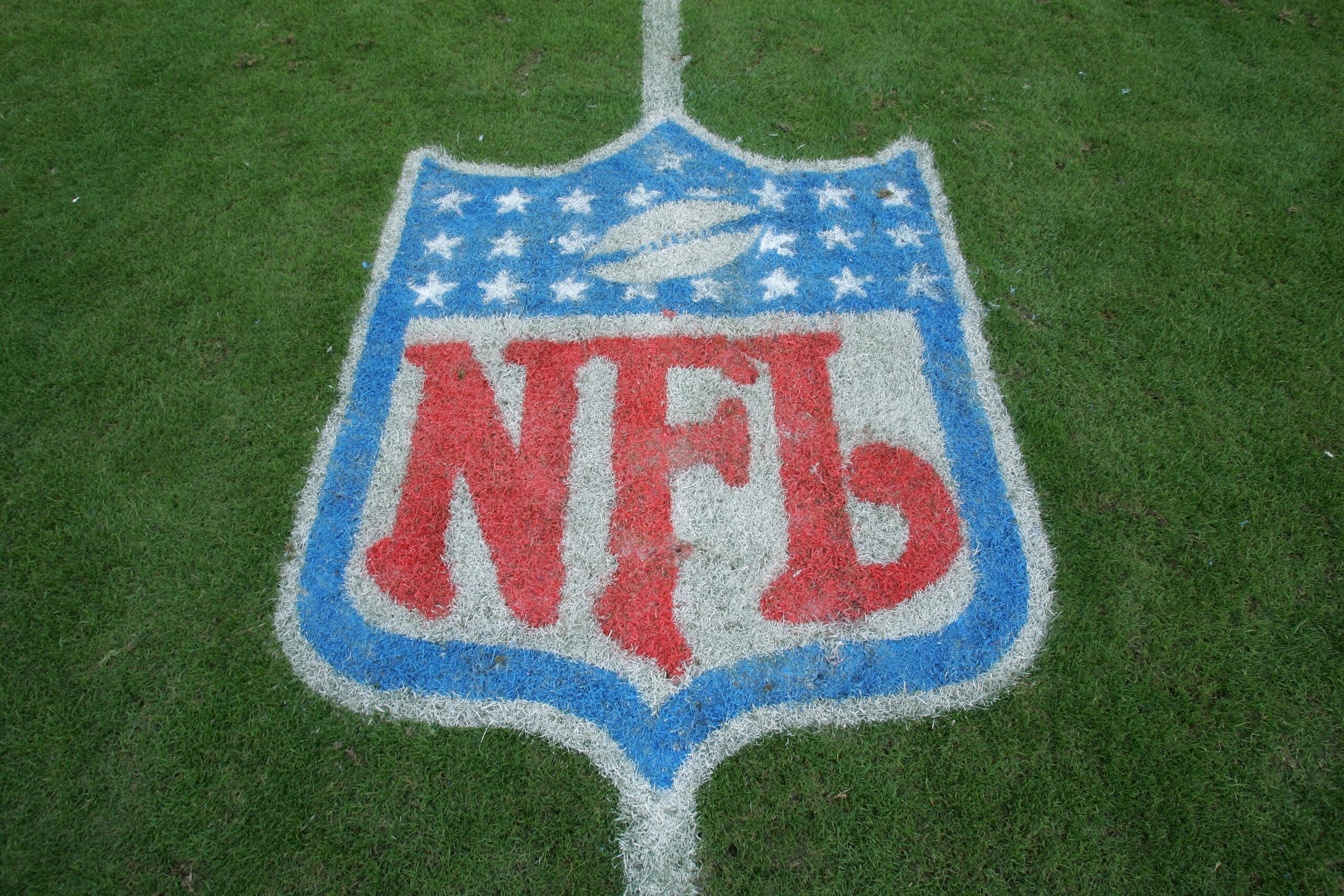 TAMPA, FL - DECEMBER 10:  The NFL Shield logo is shown on the field before the Tampa Bay Buccaneers game against the Atlanta Falcons on December 10, 2006 at Raymond James Stadium in Tampa, Florida. The Falcons defeated the Bucs 17-6. (Photo by Doug Pensin