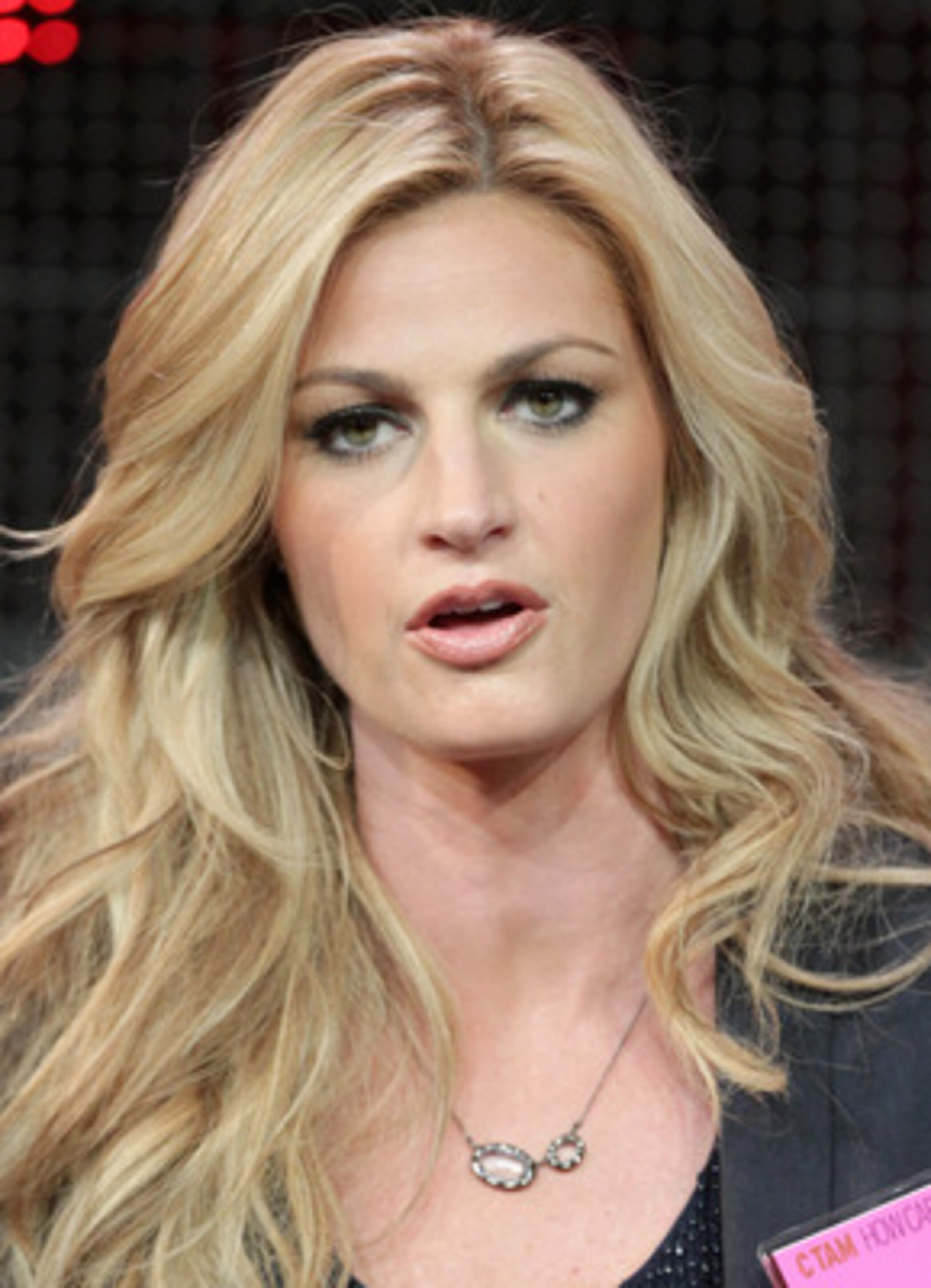 PASADENA, CA - JANUARY 05:  Broadcaster Erin Andrews speaks onstage during the 'BCS Title Game' panel at the ESPN portion of the 2011 Winter TCA press tour held at the Langham Hotel on January 5, 2011 in Pasadena, California.  (Photo by Frederick M. Brown