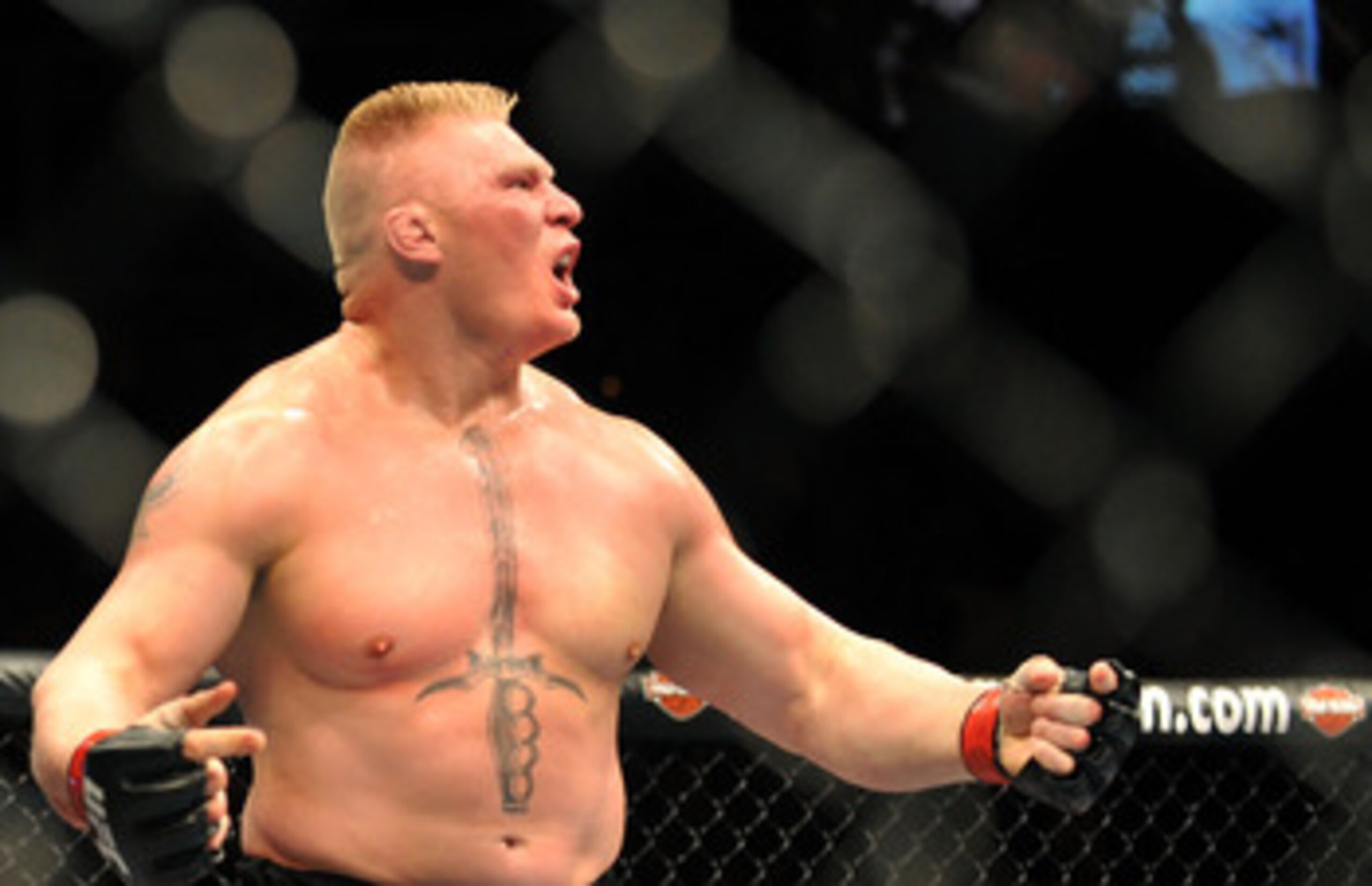 LAS VEGAS - JULY 11:  Brock Lesnar reacts after knocking out Frank Mir during their heavyweight title bout during UFC 100 on July 11, 2009 in Las Vegas, Nevada.  (Photo by Jon Kopaloff/Getty Images)