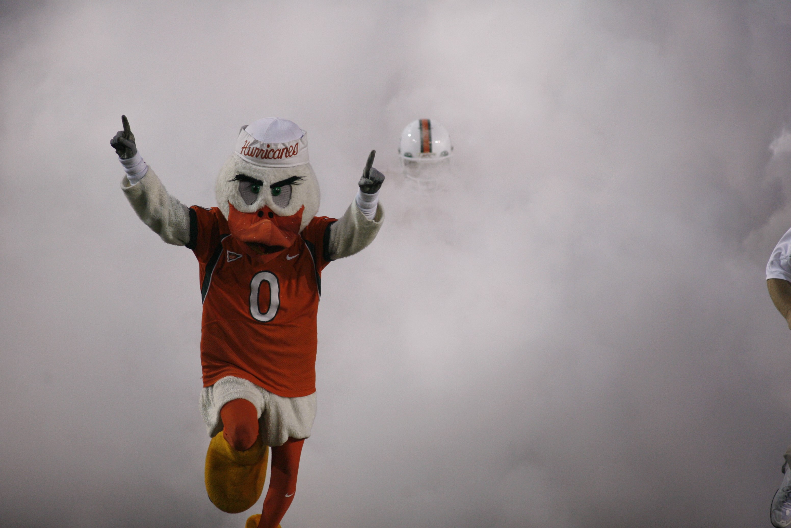 MIAMI - OCTOBER 14:  The Miami Hurricanes mascot Sebastian The Ibis runs on the field before the game against the Florida International Panthers at the Orange Bowl on October 14, 2006 in Miami, Florida. Miami won 35-0.  (Photo by Marc Serota/Getty Images)