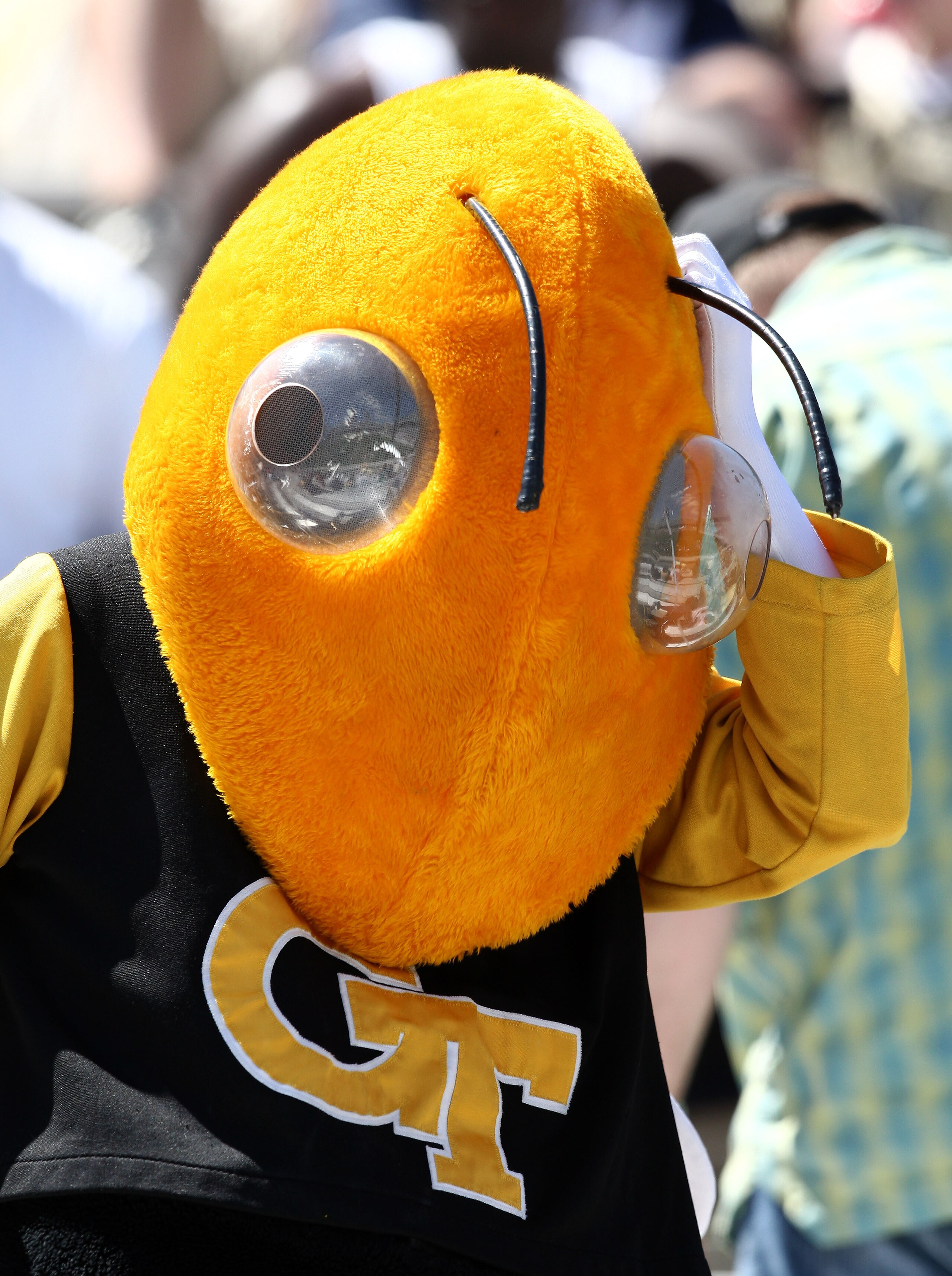 ATLANTA - APRIL 19: Buzz, the Georgia Tech mascot, scratches his head while watching the Georgia Tech T-Day Spring football game on April 19, 2008 at Historic Grant Field at Bobby Dodd Stadium in Atlanta, Georgia.  (Photo by Mike Zarrilli/Getty Images)