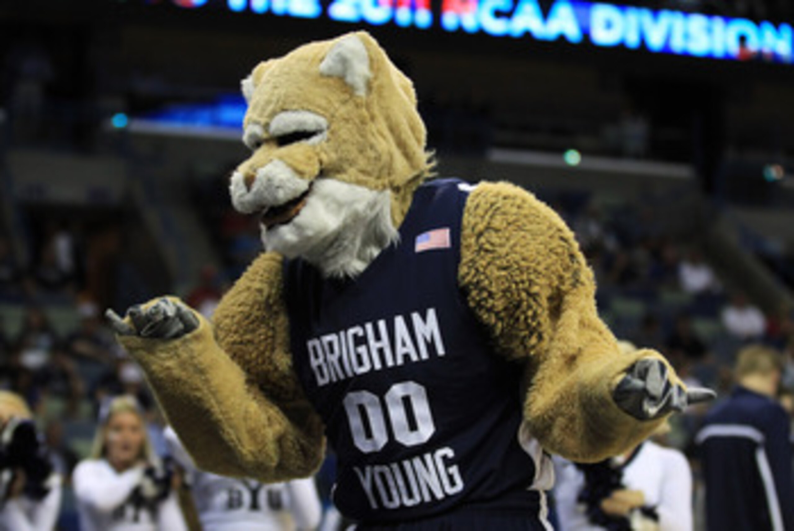 NEW ORLEANS, LA - MARCH 24:  The Brigham Young Cougars mascot entertains the crowd during their game against the Florida Gators in the Southeast regional of the 2011 NCAA men's basketball tournament at New Orleans Arena on March 24, 2011 in New Orleans, L