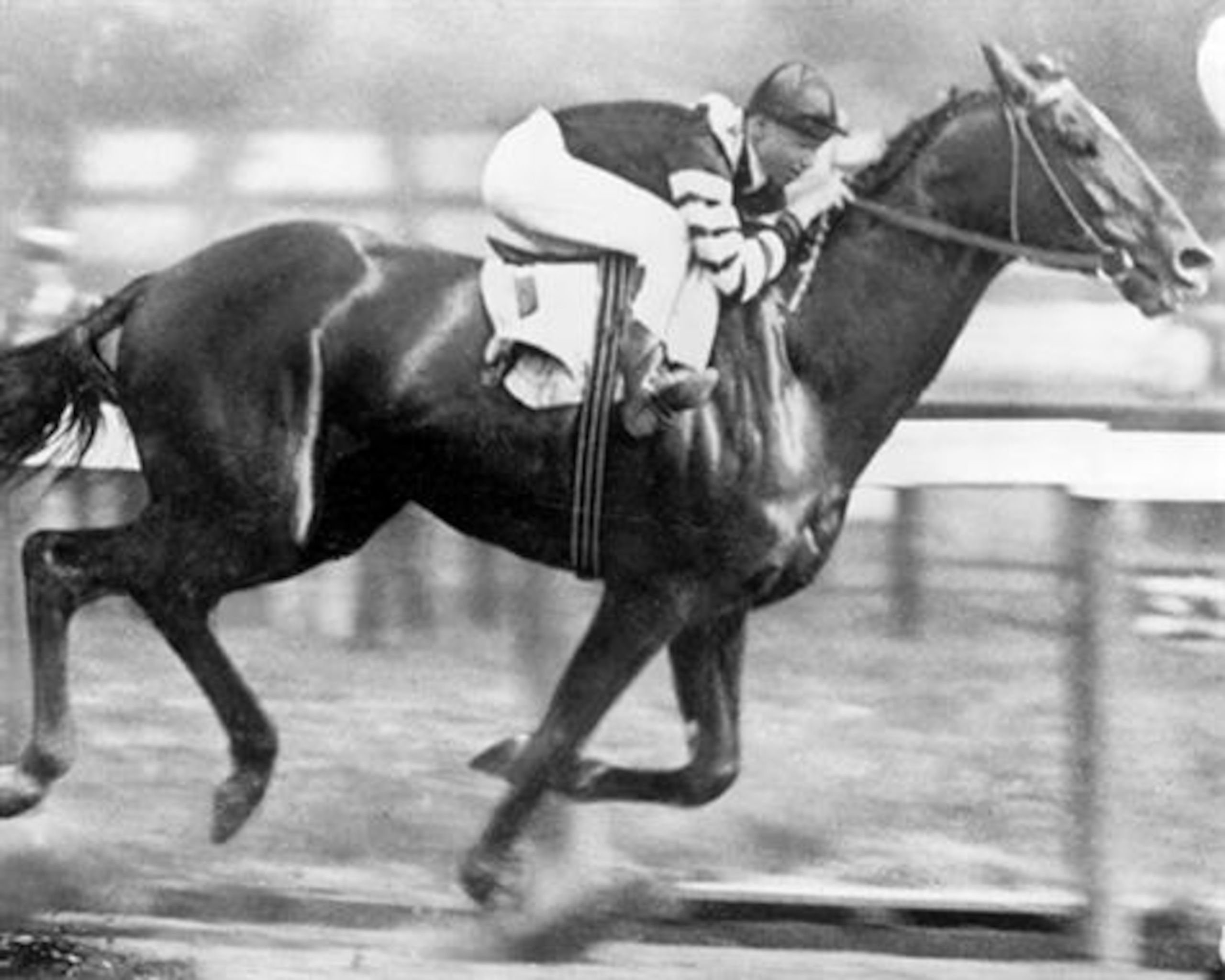 Photo courtesy of BelmontStakes.com