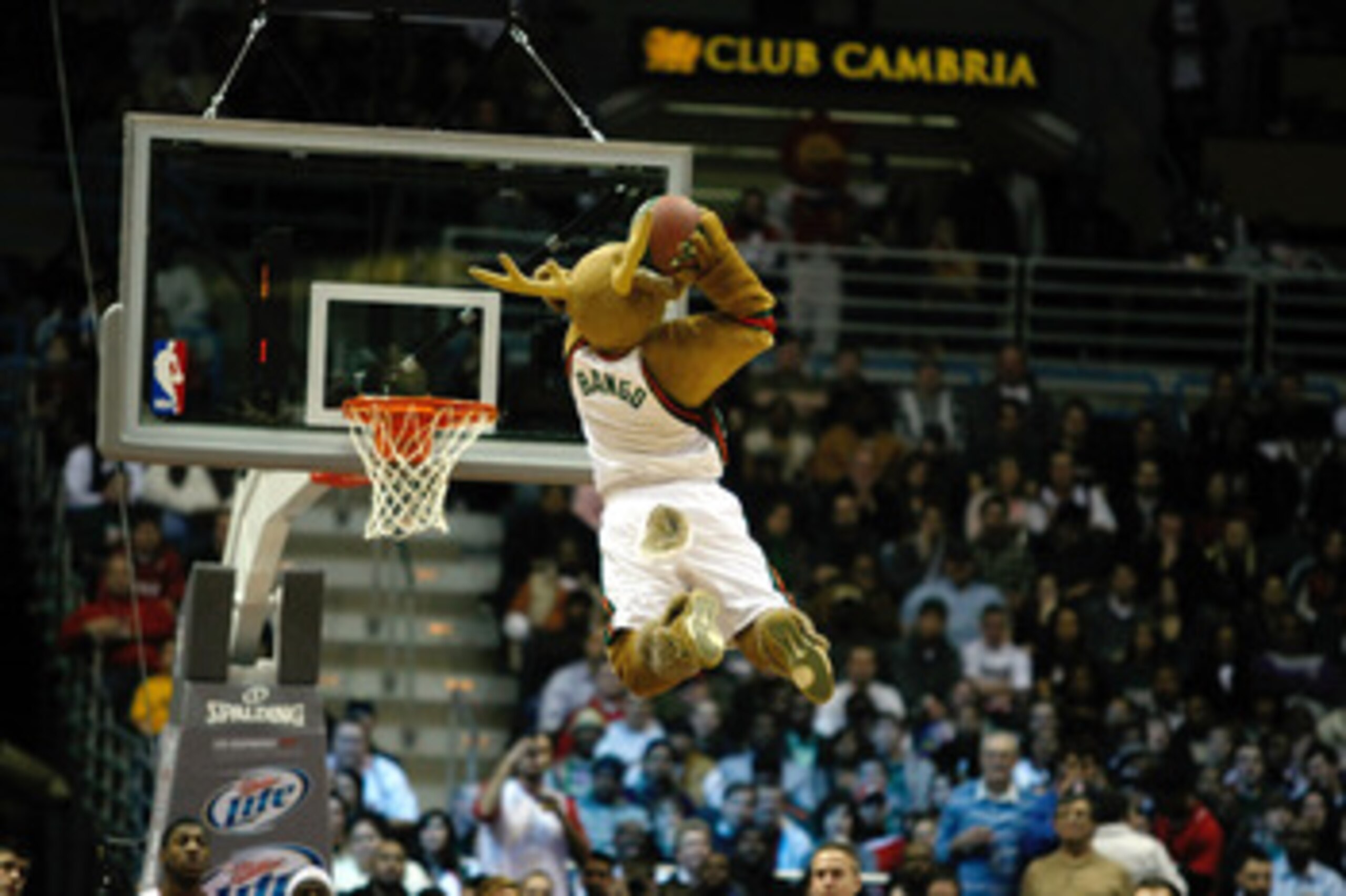 MILWAUKEE, WI - JANUARY 07: The Bucks mascot entertains fans by dunking a basketball during a time out during the game between the Milwaukee Bucks against the Miami Heat at the Bradley Center on January 7, 2011 in Milwaukee, Wisconsin. NOTE TO USER: User 