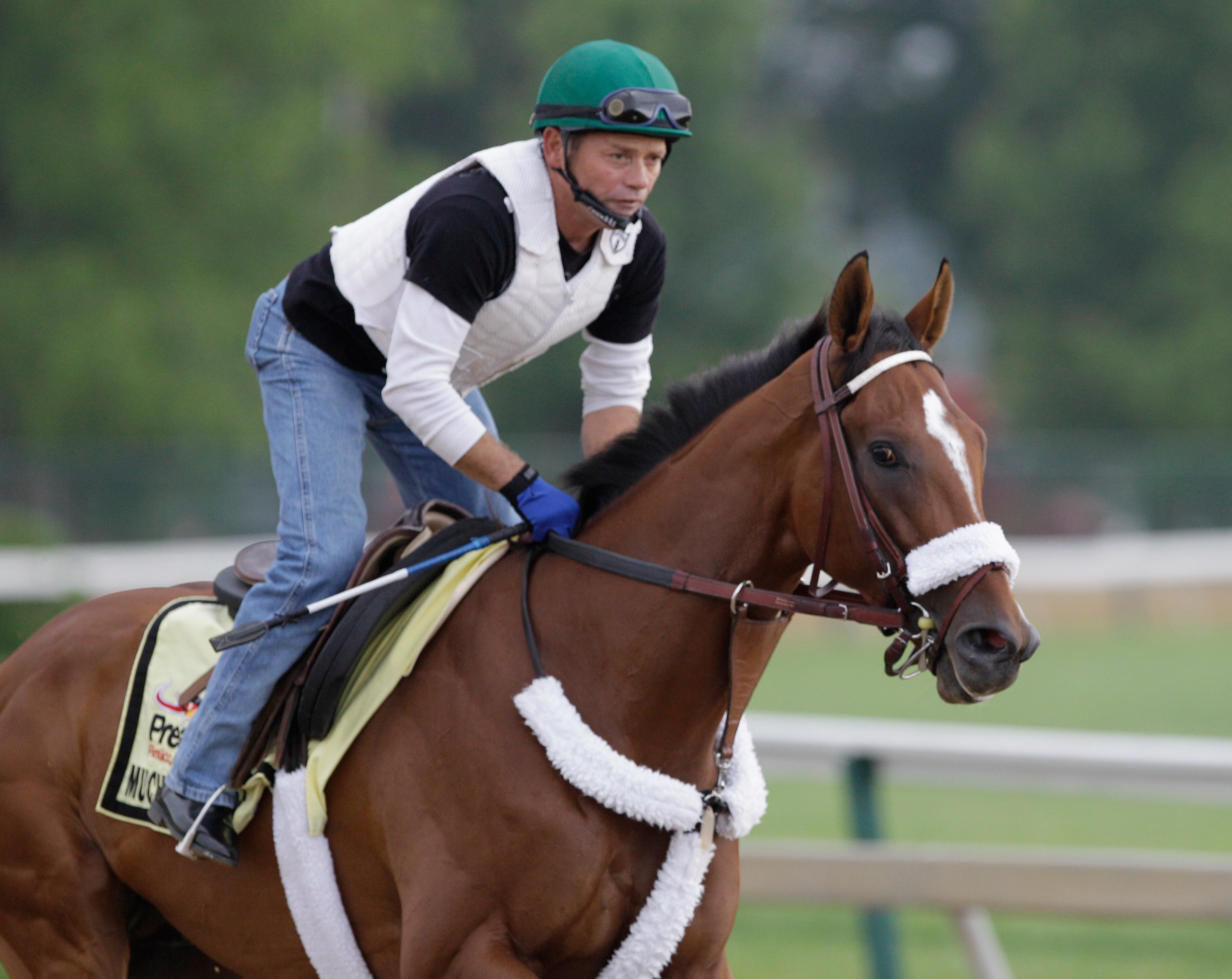 BALTIMORE, MD - MAY 20:  Exercise rider Heriberto Pulgar takes Preakness entrant Mucho Macho Man over the track at Pimlico Race Course on May 20, 2011 in Baltimore, Maryland. The 136th running of the Preakness Stakes will take place on May 21.   (Photo by
