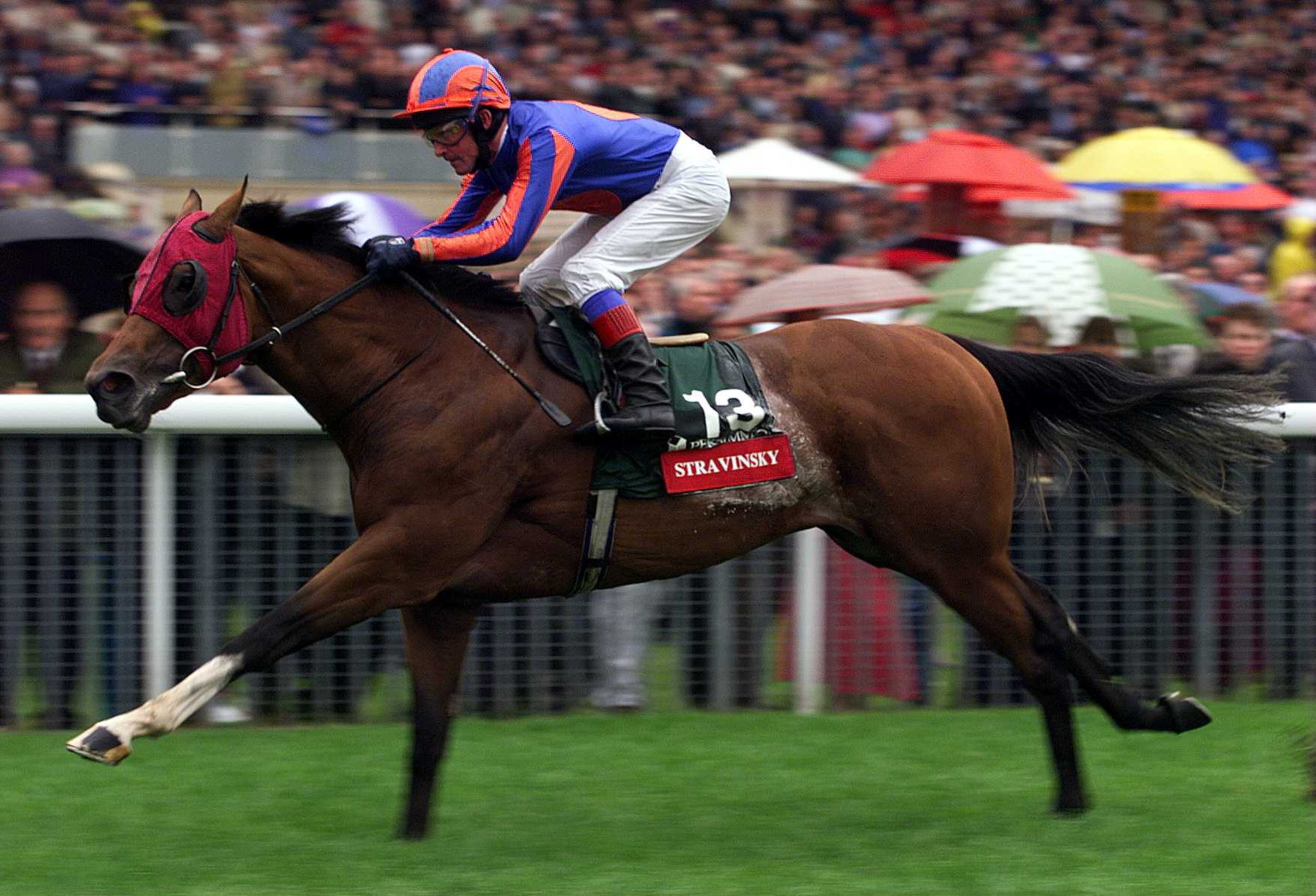 19 Aug 1999:  Michael Kinane brings Stravinsky home to land The Persimmon Homes Nunthorpe Stakes run at York. Mandatory Credit: Julian Herbert/ALLSPORT