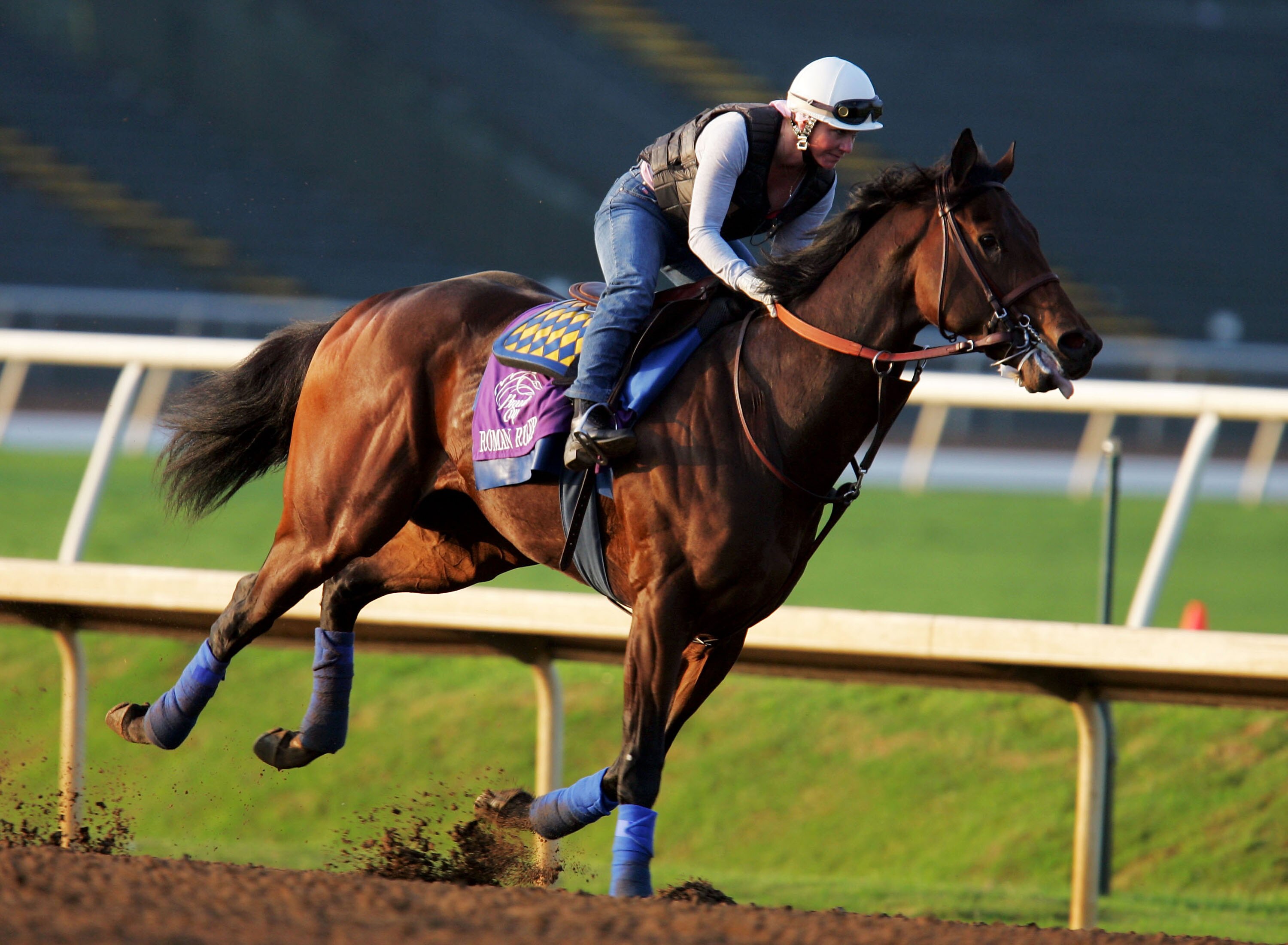 GRAND PRAIRIE, TX - OCTOBER 28:  Roman Ruler, trained by Bob Baffert, works out October 28, 2004 in preparation for the Breeders' Cup World Throroughbred Championships at Lone Star Park in Grand Prairie, Texas.  (Photo by Matthew Stockman/Getty Images)