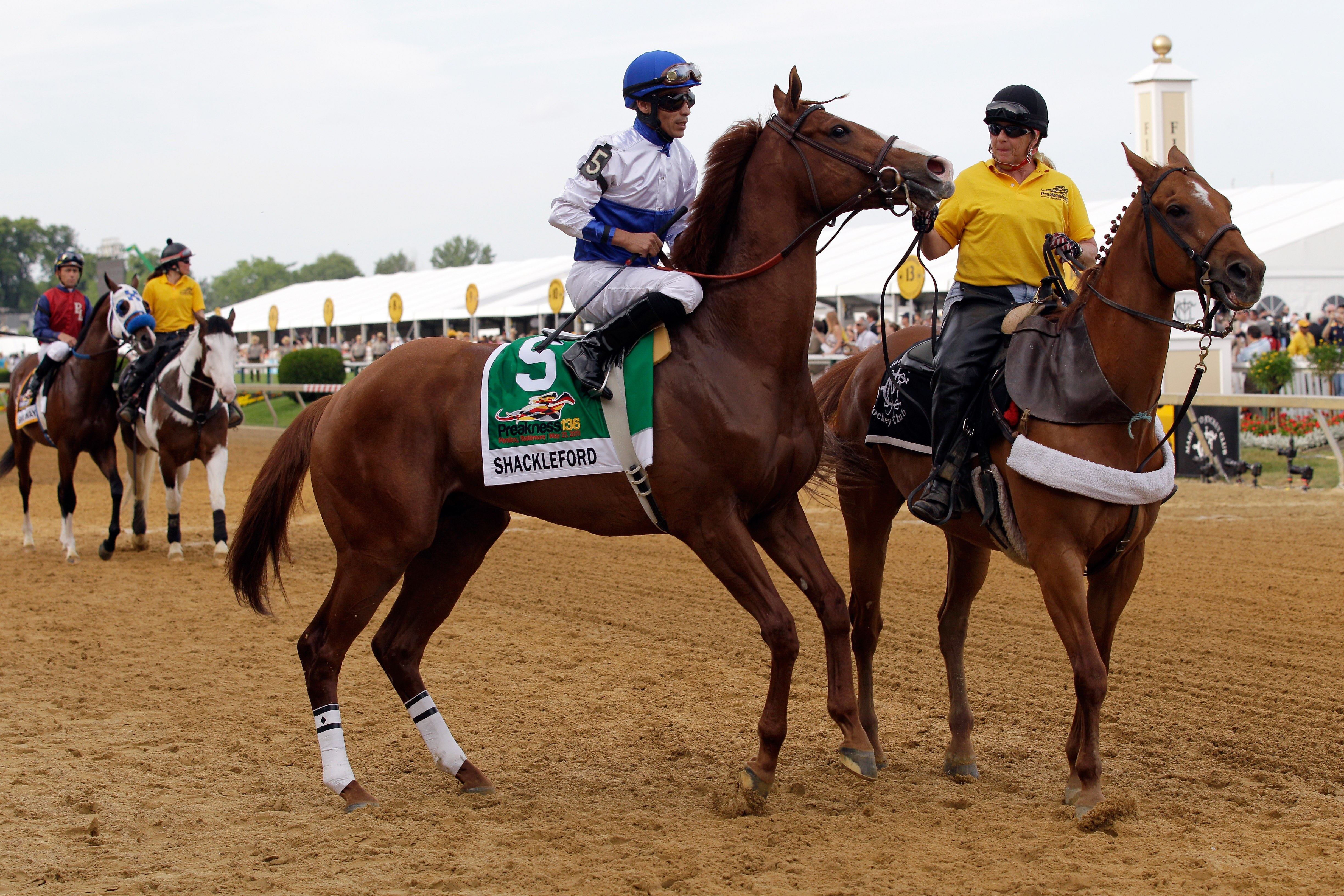 BALTIMORE, MD - MAY 21:  Shackleford #5 with jockey Jesus Castanon aboard  during the post parade before the start of the Preakness Stakes at Pimlico Race Course on May 21, 2011 in Baltimore, Maryland.  (Photo by Rob Carr/Getty Images)
