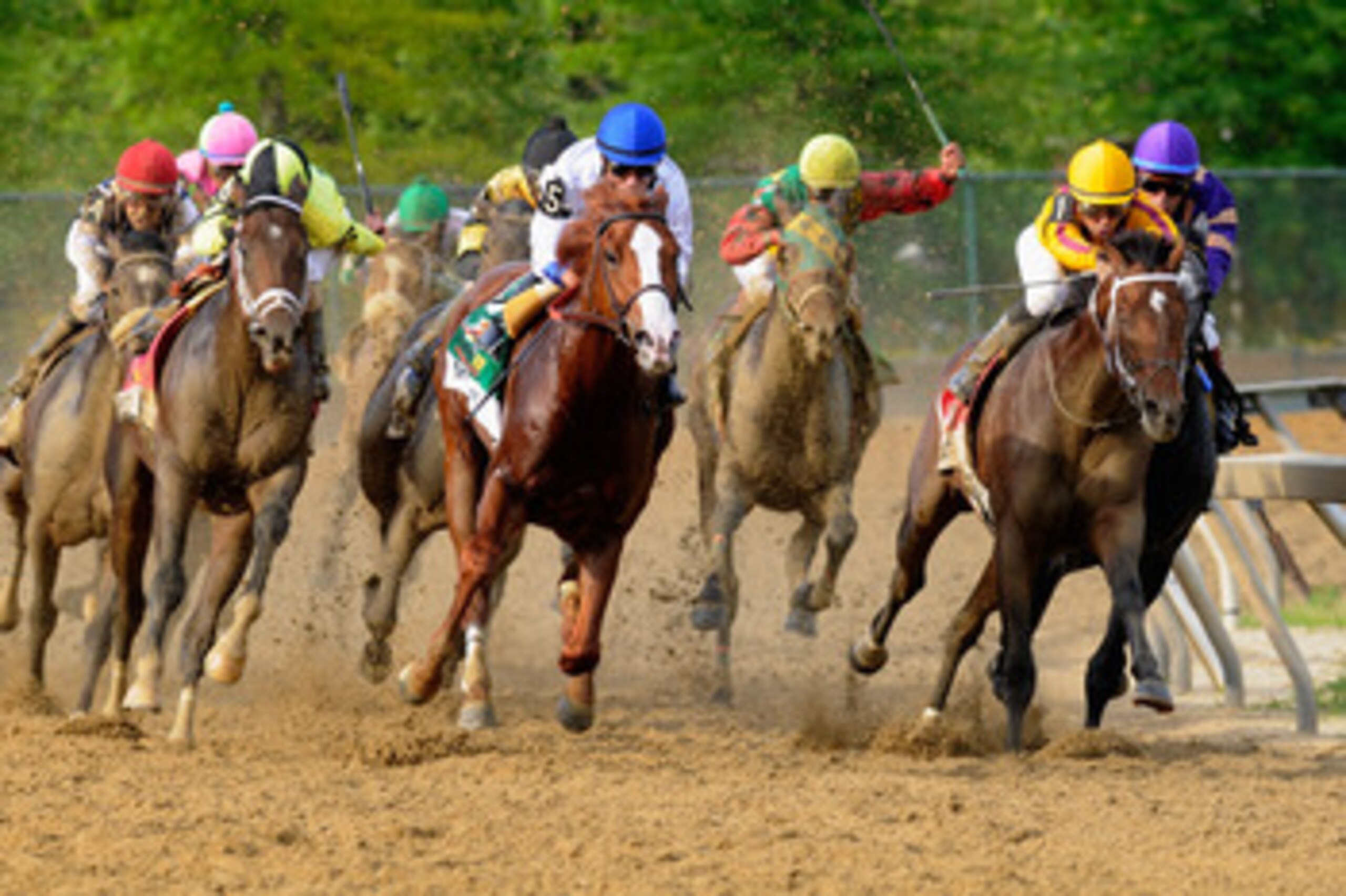 BALTIMORE, MD - MAY 21:  Jockey Jesus Castanon guides Shackleford #5 (C) out of the fourth turn to win the 136th running of the Preakness Stakes at Pimlico Race Course on May 21, 2011 in Baltimore, Maryland.  (Photo by Rob Carr/Getty Images)