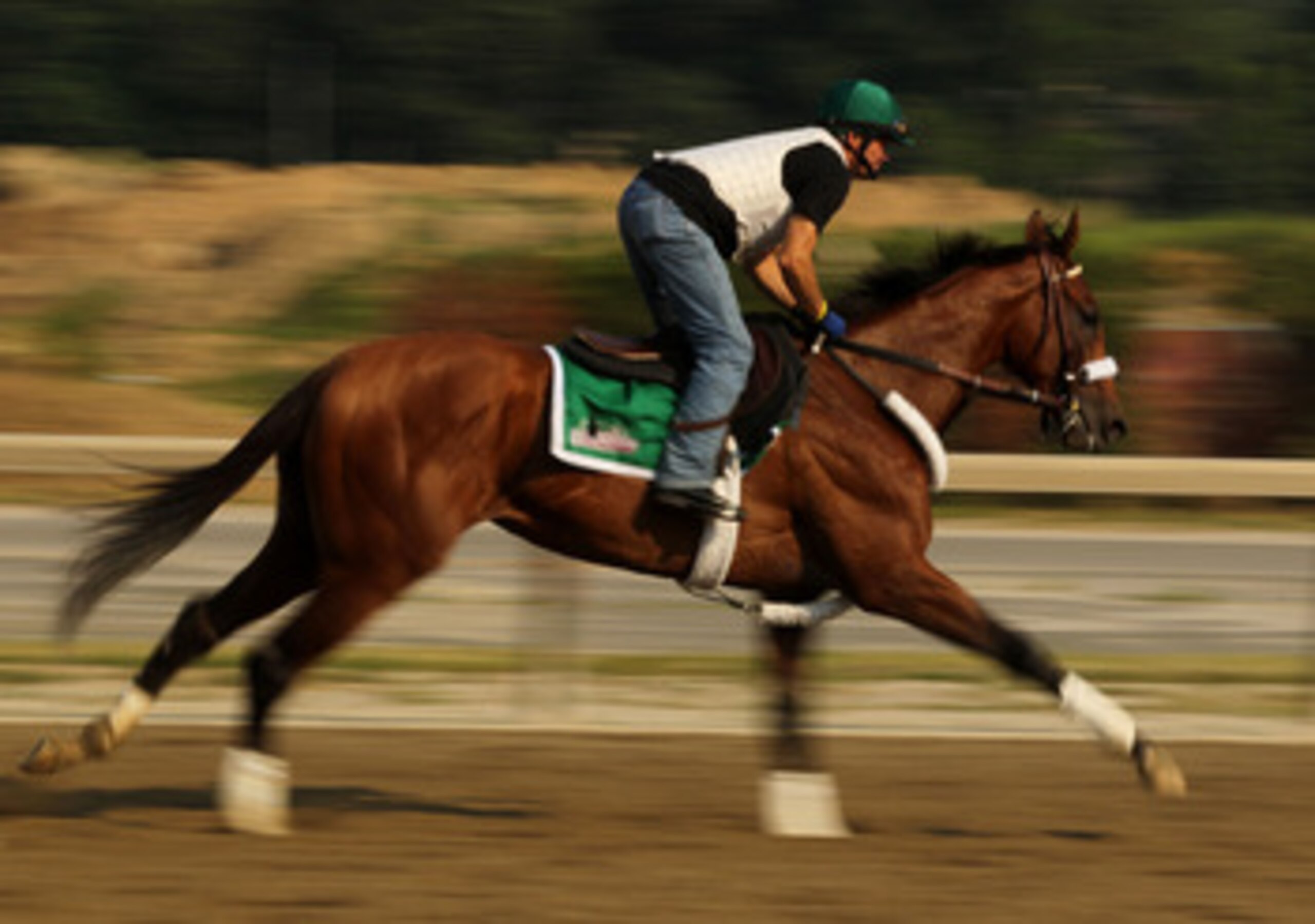 ELMONT, NY - JUNE 08:  Exercise rider Heriberto Pulgar runs Mucho Macho Man during a morning training session in preparation for The Belmont Stakes at Belmont Park on June 8, 2011 in Elmont, New York.  (Photo by Al Bello/Getty Images)