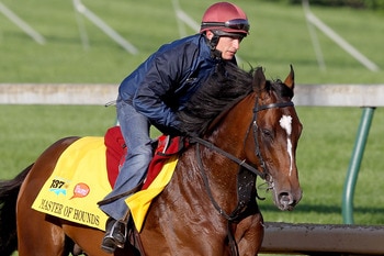 LOUISVILLE, KY - MAY 05:  Master of Hounds trains during the morning exercise session in preparation for the 137th Kentucky Derby at Churchill Downs on May 5, 2011 in Louisville, Kentucky.  (Photo by Matthew Stockman/Getty Images)