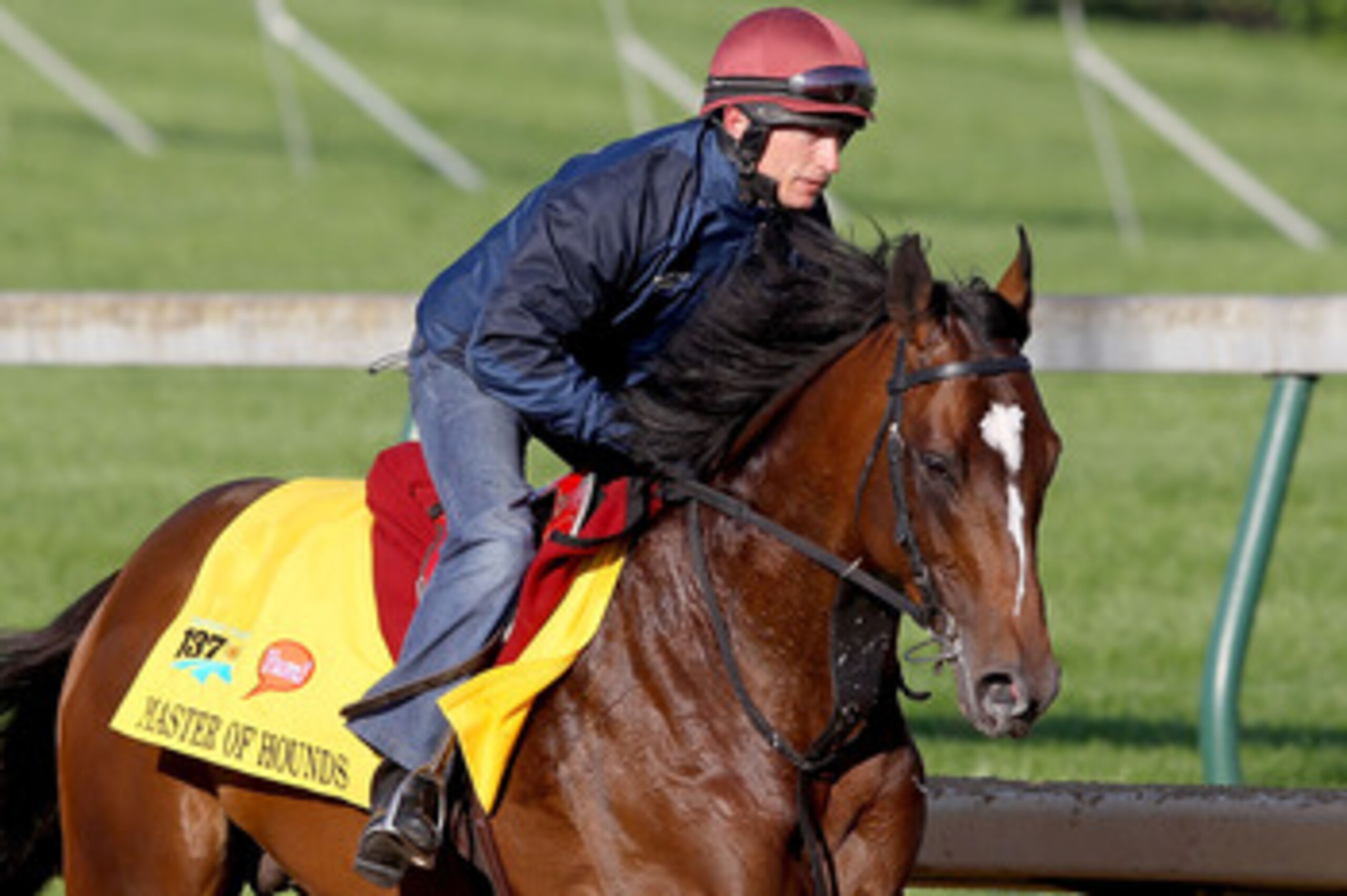LOUISVILLE, KY - MAY 05:  Master of Hounds trains during the morning exercise session in preparation for the 137th Kentucky Derby at Churchill Downs on May 5, 2011 in Louisville, Kentucky.  (Photo by Matthew Stockman/Getty Images)