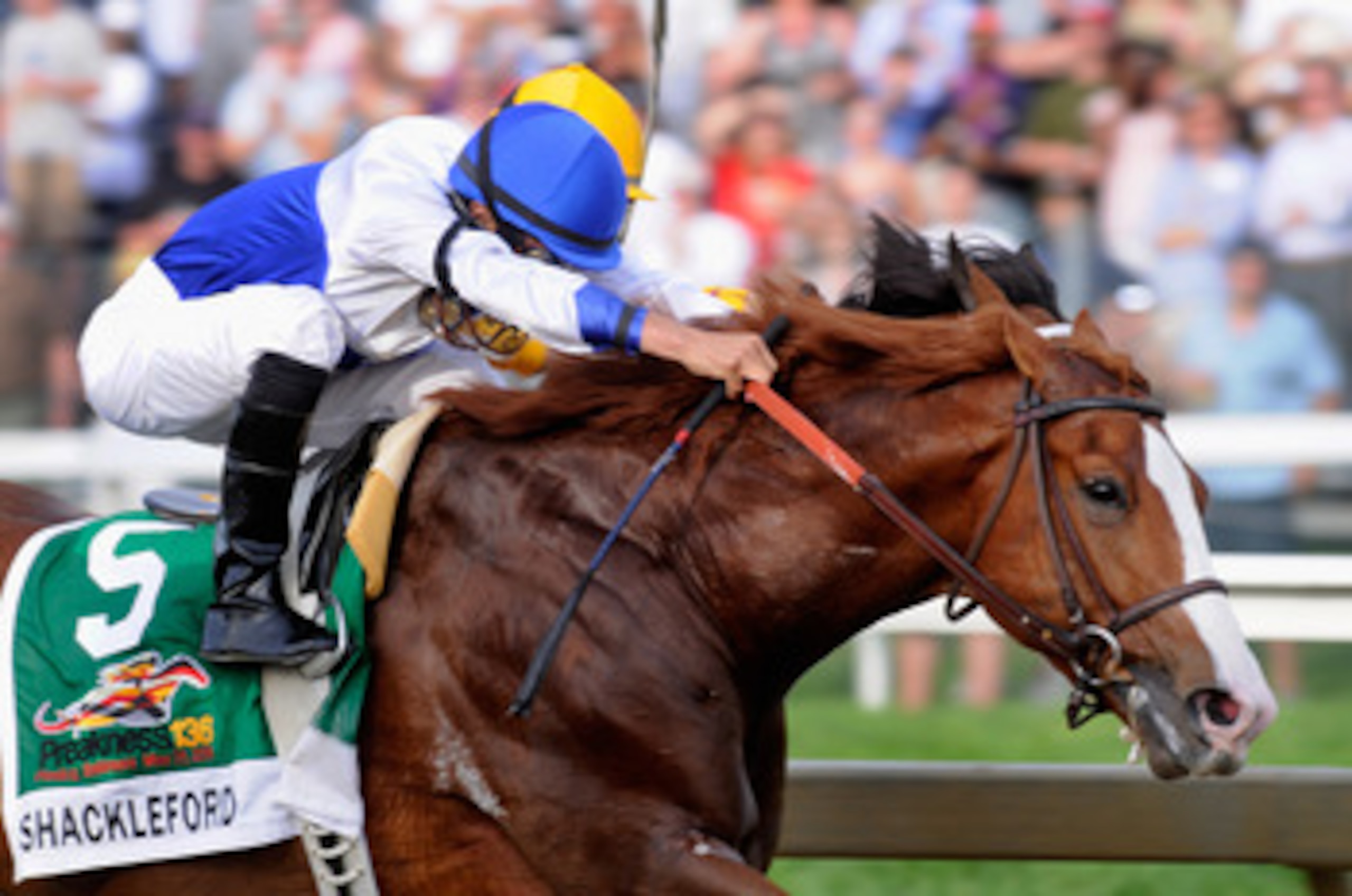BALTIMORE, MD - MAY 21:  Jockey Jesus Castanon guides Shackleford #5 out of the fourth turn to win the 136th running of the Preakness Stakes at Pimlico Race Course on May 21, 2011 in Baltimore, Maryland.  (Photo by Rob Carr/Getty Images)