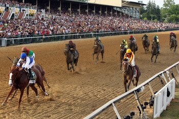 BALTIMORE, MD - MAY 21:  Jockey Jesus Castanon guides Shackleford #5 (C) to victory over Animal Kingdom and jocky John Velazquez #11 (L) and Astrology with jockey Mike Smith #1 (R) to win the 136th running of the Preakness Stakes at Pimlico Race Course on