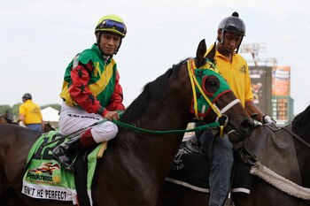 BALTIMORE, MD - MAY 21: Isn't He Perfect with jockey Ramon Dominguez #12 during the post parade for the 136th running of the Preakness Stakes at Pimlico Race Course on May 21, 2011 in Baltimore, Maryland.  (Photo by Rob Carr/Getty Images)