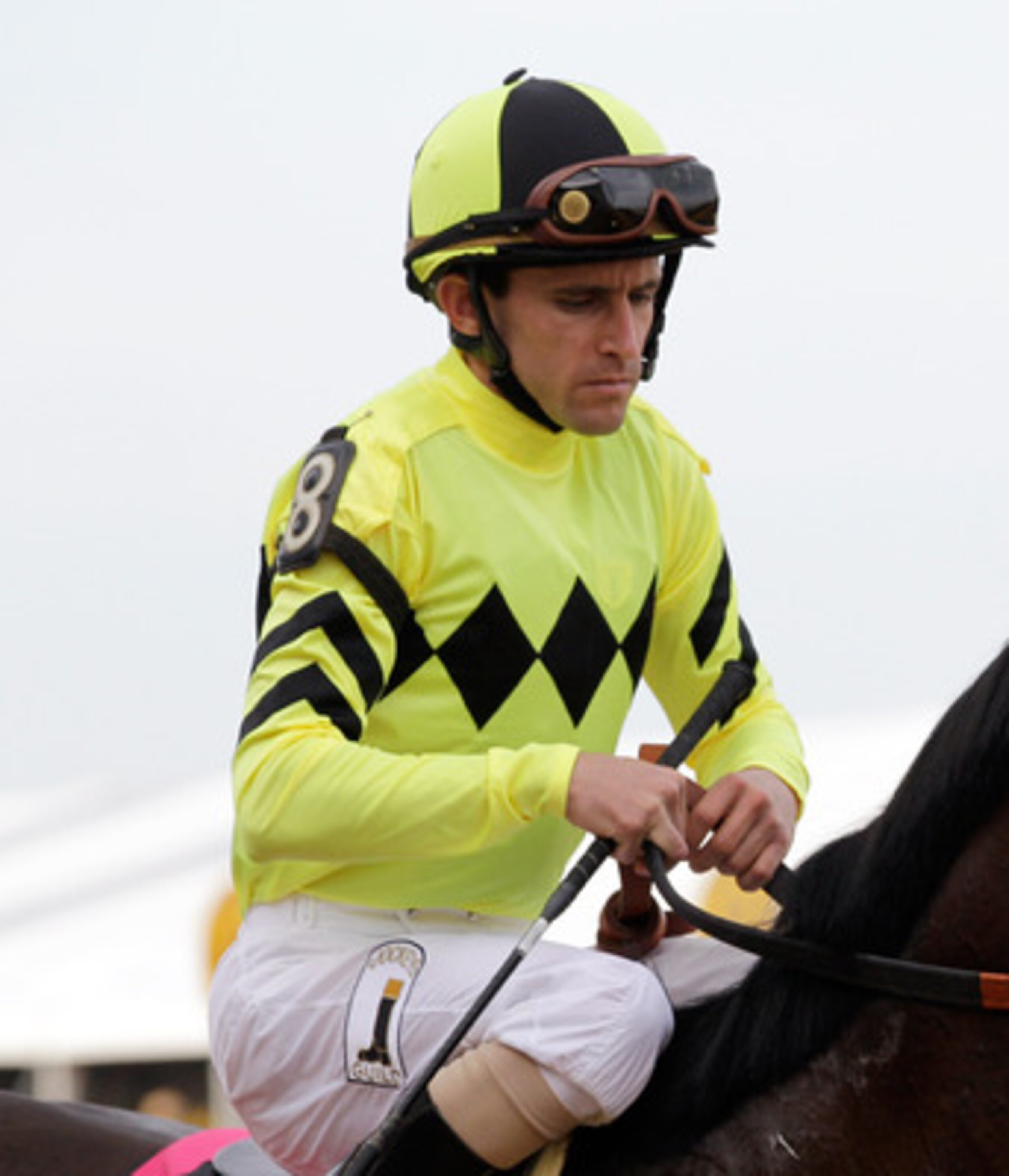BALTIMORE, MD - MAY 21: Dance City with jockey Ramon Dominguez  #8 during the post parade for the 136th running of the Preakness Stakes at Pimlico Race Course on May 21, 2011 in Baltimore, Maryland.  (Photo by Rob Carr/Getty Images)