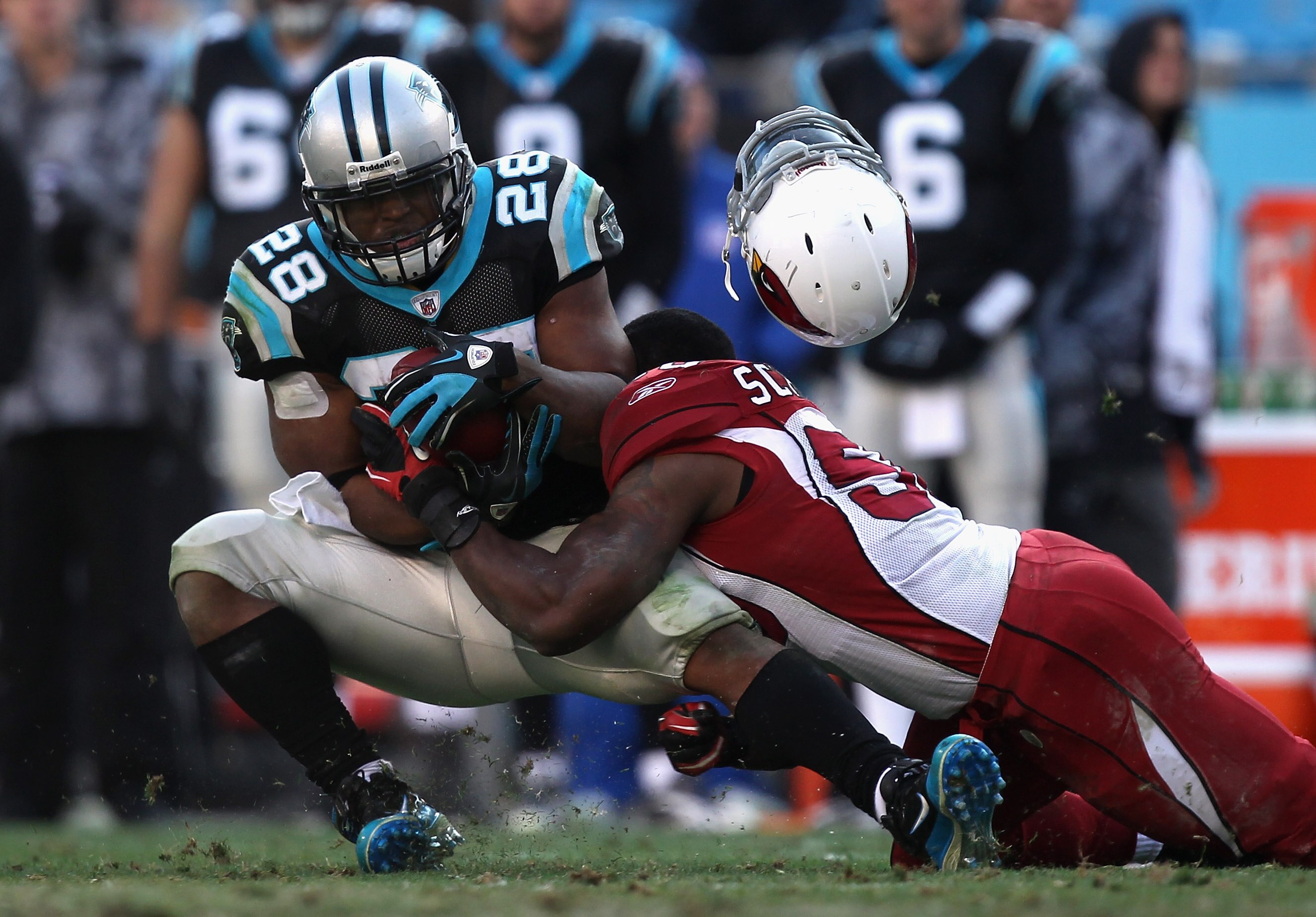 CHARLOTTE, NC - DECEMBER 19:  O'Brien Schofield #50 of the Arizona Cardinals tackles Jonathan Stewart #28 of the Carolina Panthers as his helmet falls off during their game at Bank of America Stadium on December 19, 2010 in Charlotte, North Carolina.  (Ph