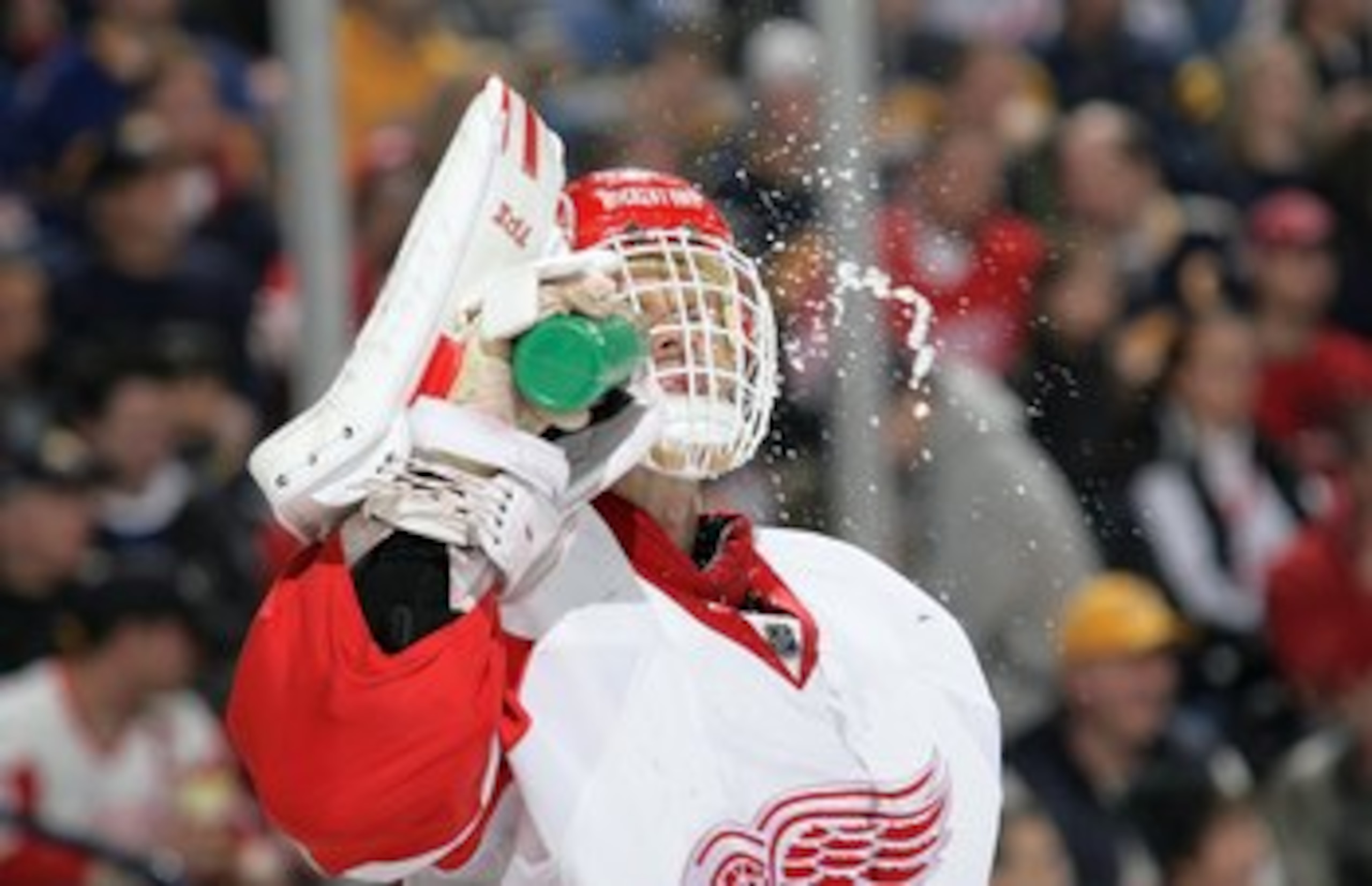 BUFFALO, NY - MARCH 2: Goaltender Dominik Hasek #39 of the Detroit Red Wings takes in fluids during a break in NHL game action against the Buffalo Sabres on March 2, 2008 at HSBC Arena in Buffalo, New York. The Red Wings defeated the Sabres 4-2. (Photo b BUFFALO, NY - MARCH 2: Goaltender Dominik Hasek #39 of the Detroit Red Wings takes in fluids during a break in NHL game action against the Buffalo Sabres on March 2, 2008 at HSBC Arena in Buffalo, New York. The Red Wings defeated the Sabres 4-2. (Photo b