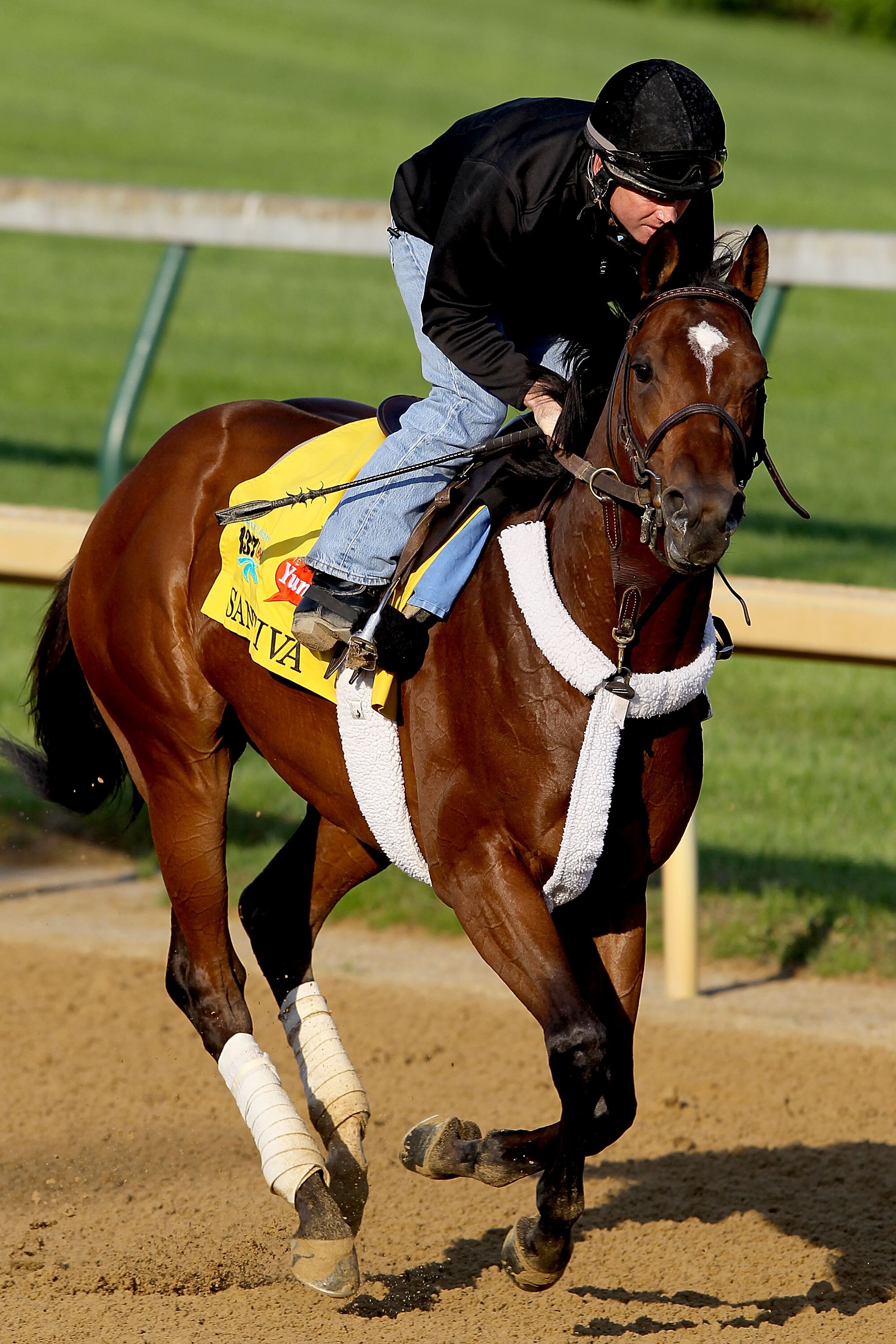 LOUISVILLE, KY - APRIL 30:  Santiva runs during the morning exercise session in preparation for the 137th Kentucky Derby at Churchill Downs on April 30, 2011 in Louisville, Kentucky.  (Photo by Matthew Stockman/Getty Images)