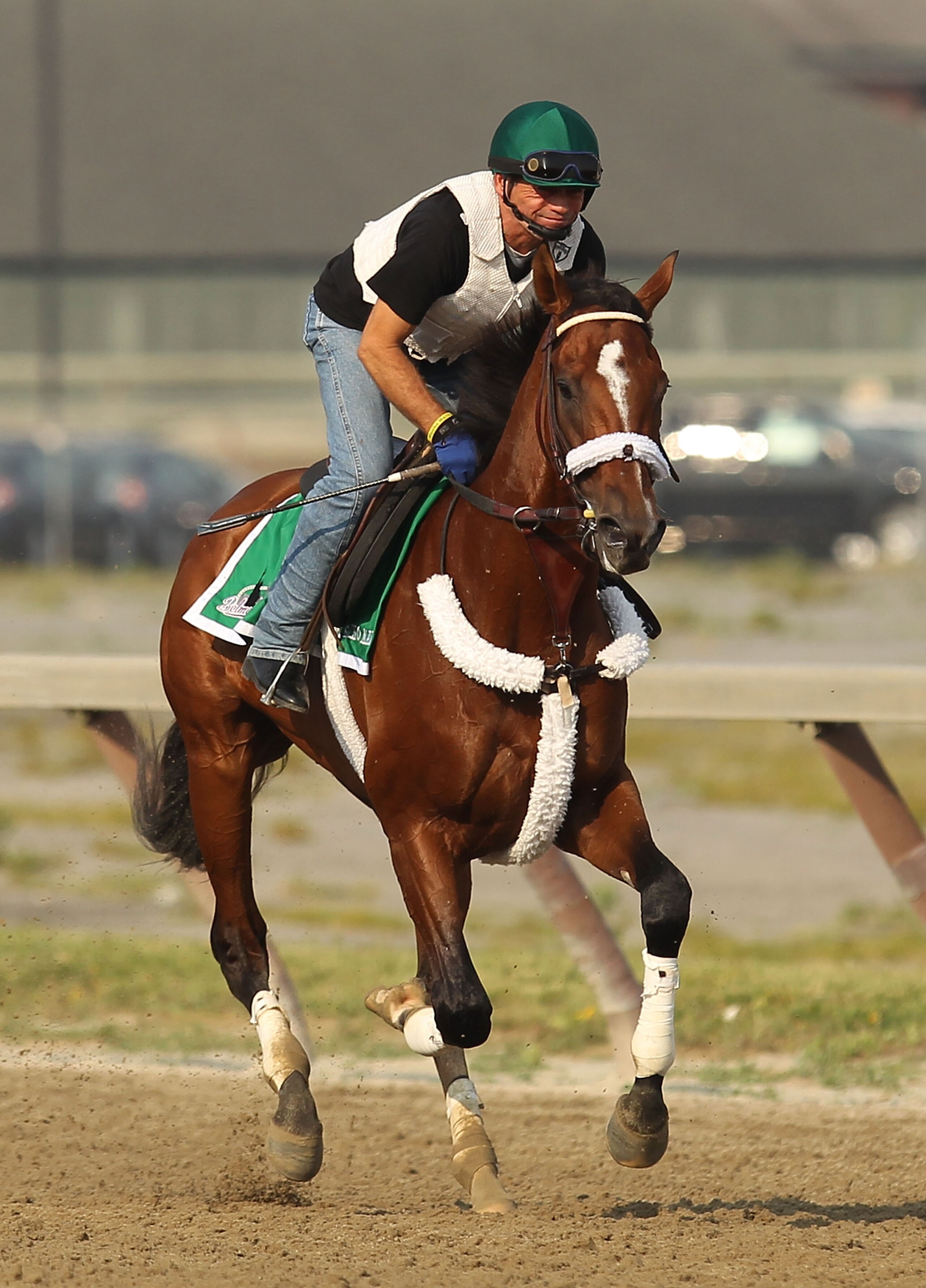 ELMONT, NY - JUNE 08:  Exercise rider Heriberto Pulgar runs Mucho Macho Man during a morning training session in preparation for The Belmont Stakes at Belmont Park on June 8, 2011 in Elmont, New York.  (Photo by Al Bello/Getty Images)