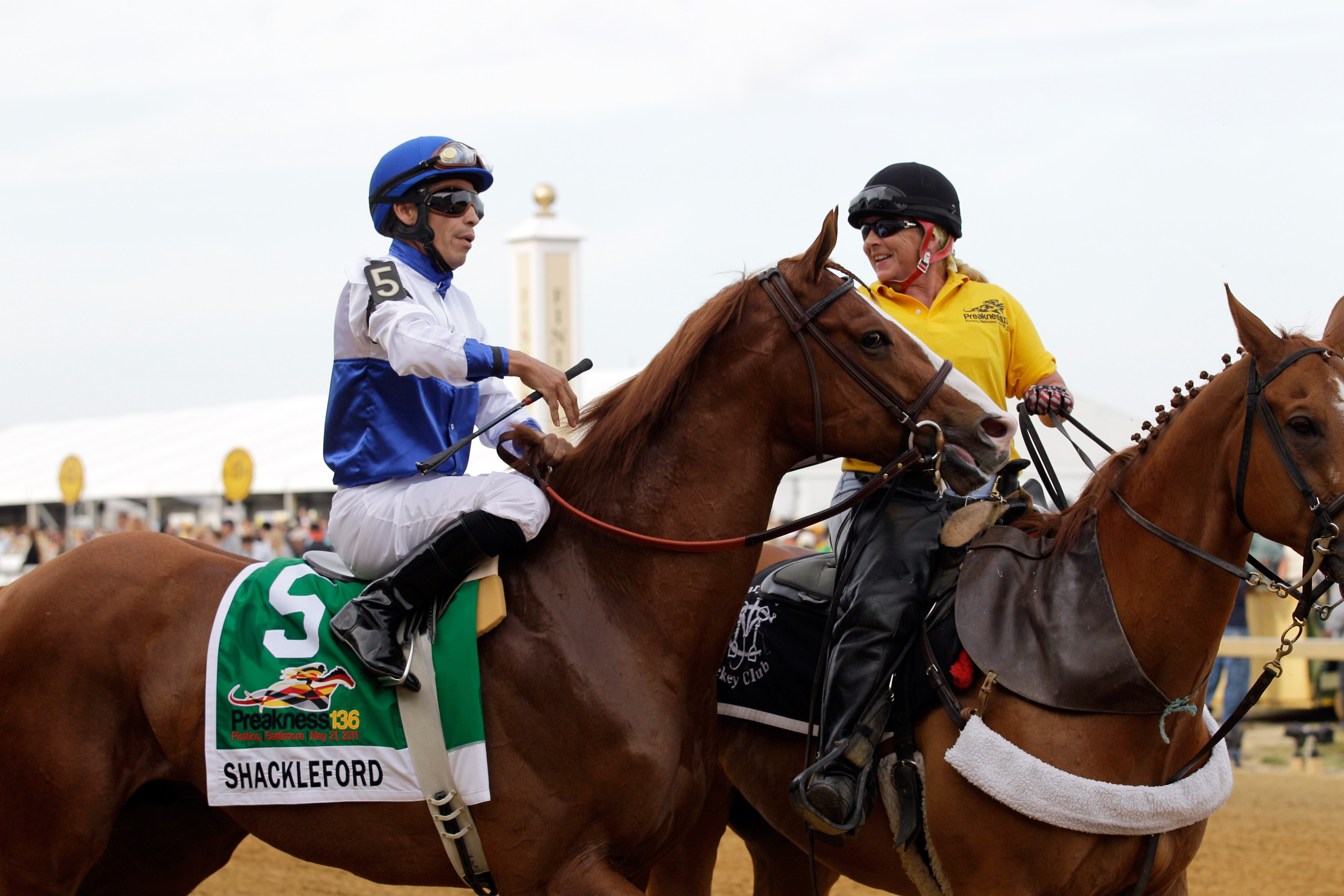 BALTIMORE, MD - MAY 21:  Shackleford #5 with jockey Jesus Castanon aboard  during the post parade before the start of the 136 Preakness Stakes at Pimlico Race Course on May 21, 2011 in Baltimore, Maryland.  (Photo by Rob Carr/Getty Images)