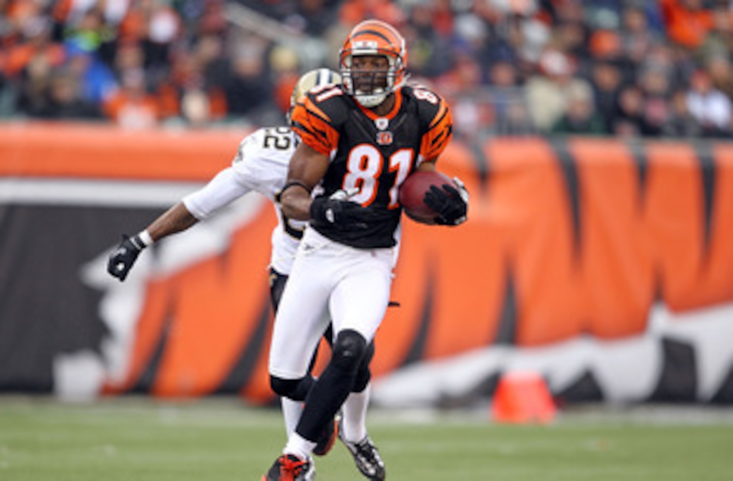 CINCINNATI, OH - DECEMBER 05: Terrell Owens #81 of the Cincinnati Bengals runs with the ball during the NFL game against the New Orleans Saints at Paul Brown Stadium on December 5, 2010 in Cincinnati, Ohio.  The Saints won 34-30.  (Photo by Andy Lyons/Get
