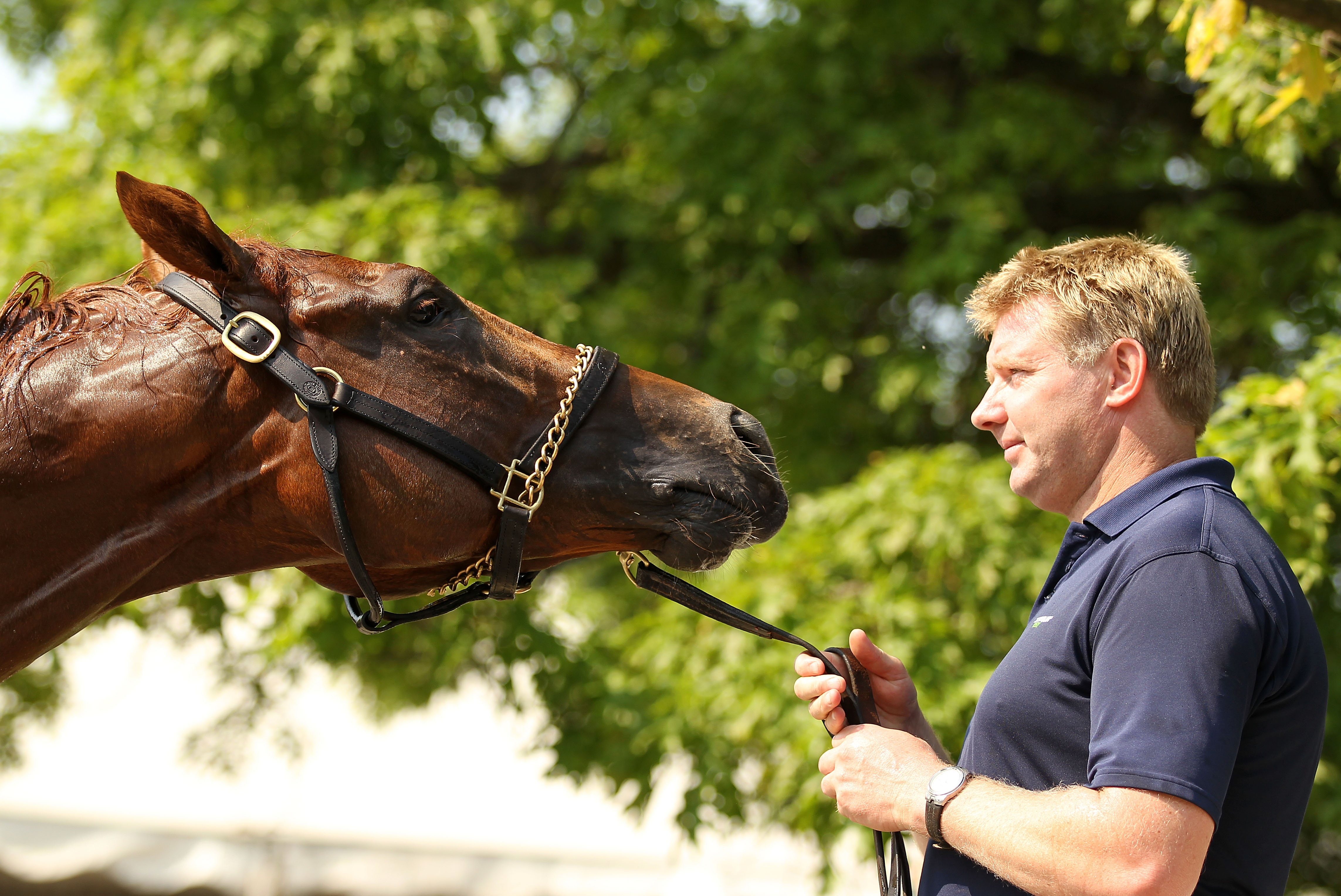 ELMONT, NY - JUNE 08:  Animal Kingdom is held by Assistant Trainer Dave Rock during a bath after a training session in preparation for The Belmont Stakes at Belmont Park on June 8, 2011 in Elmont, New York.  (Photo by Al Bello/Getty Images)