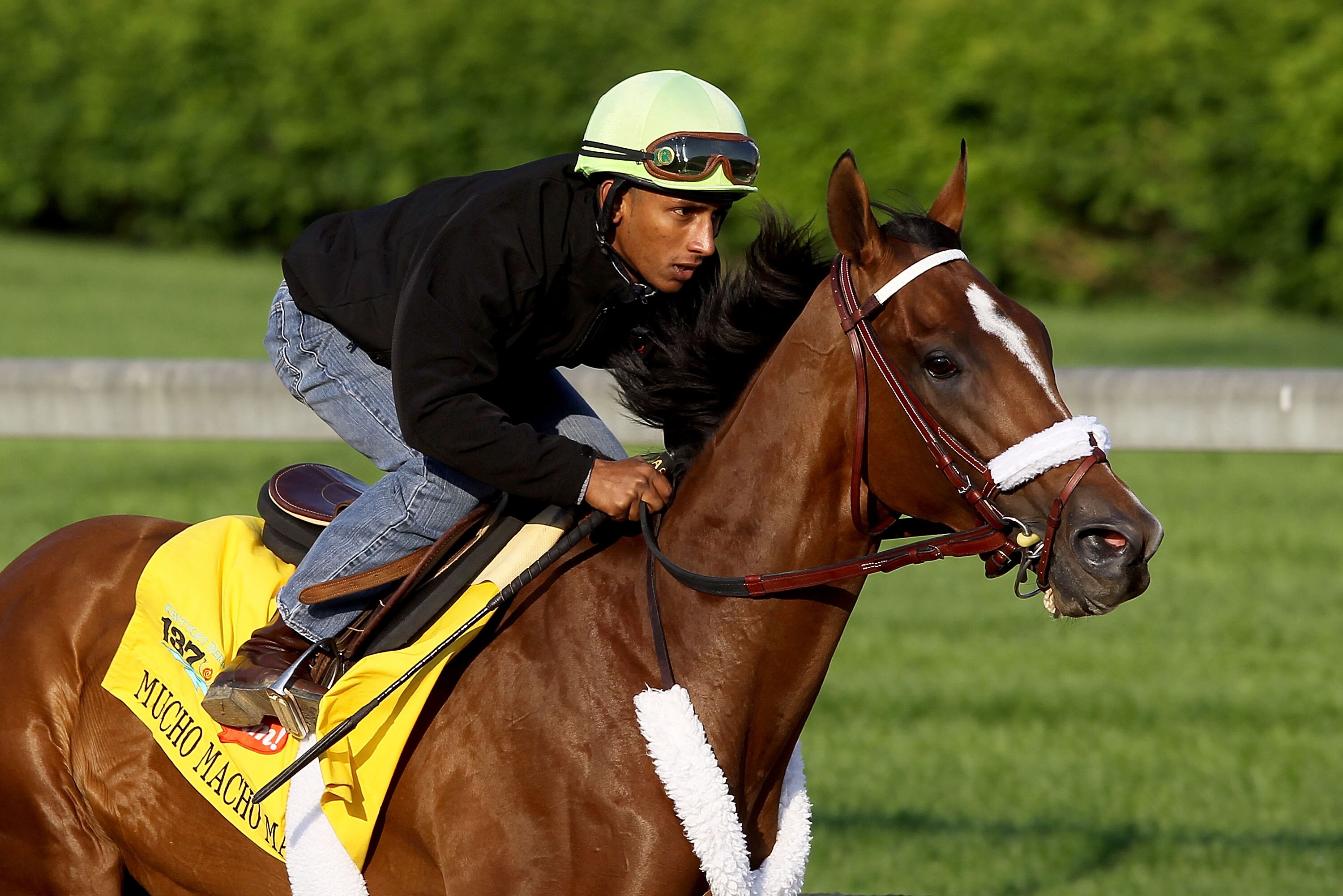 LOUISVILLE, KY - APRIL 30:  Mucho Macho Man runs during the morning exercise session in preparation for the 137th Kentucky Derby at Churchill Downs on April 30, 2011 in Louisville, Kentucky.  (Photo by Matthew Stockman/Getty Images)