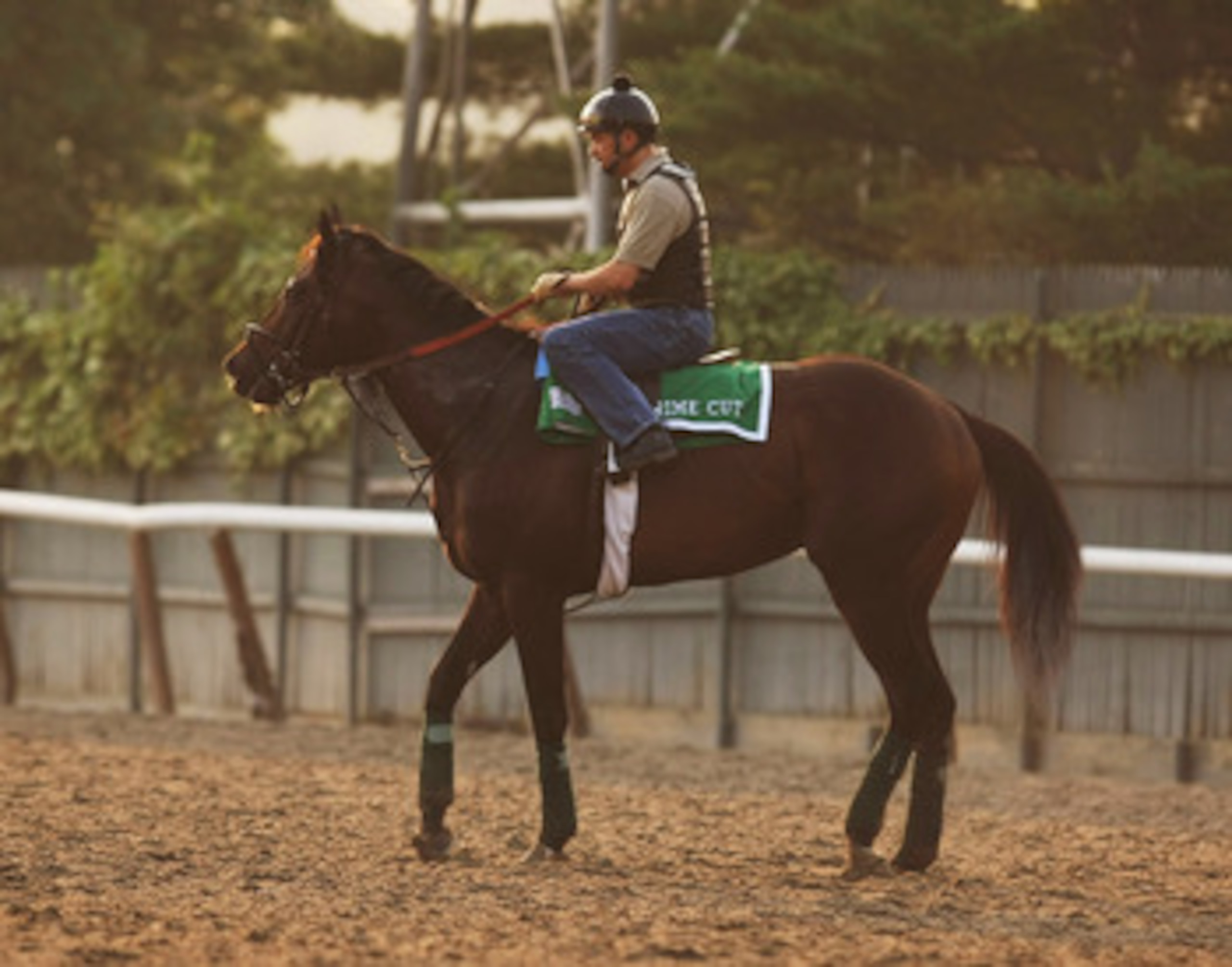 ELMONT, NY - JUNE 09: Exercise rider Dane Noel rides Prime Cut during a morning training session in preparation for The Belmont Stakes at Belmont Park on June 9, 2011 in Elmont, New York. (Photo by Al Bello/Getty Images) ELMONT, NY - JUNE 09: Exercise rider Dane Noel rides Prime Cut during a morning training session in preparation for The Belmont Stakes at Belmont Park on June 9, 2011 in Elmont, New York. (Photo by Al Bello/Getty Images)