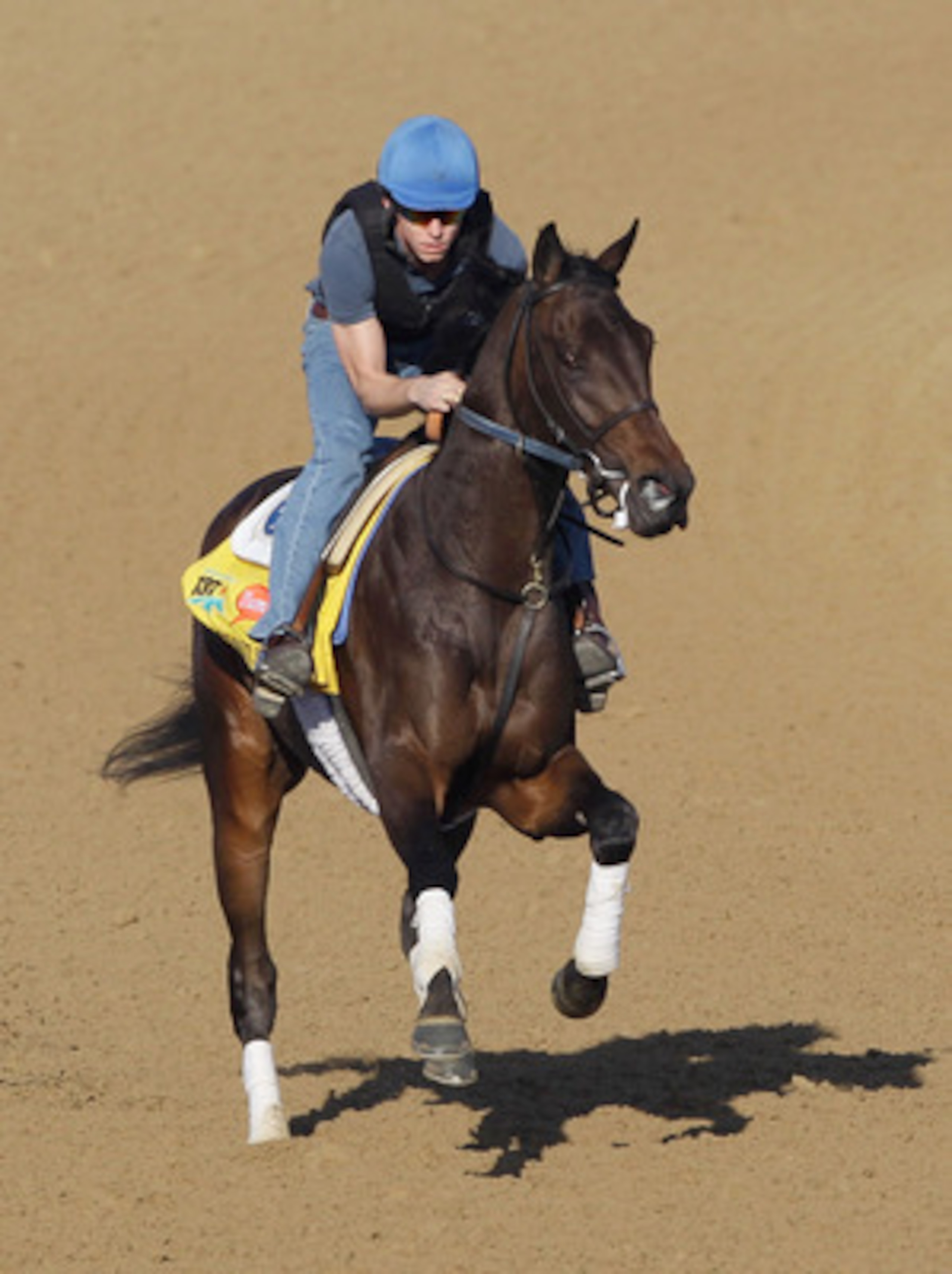 LOUISVILLE, KY - MAY 05: Kentucky Derby entrant Brilliant Speed works on the track in preparation for the 137th Kentucky Derby at Churchill Downs on May 5, 2011 in Louisville, Kentucky. (Photo by Rob Carr/Getty Images) LOUISVILLE, KY - MAY 05: Kentucky Derby entrant Brilliant Speed works on the track in preparation for the 137th Kentucky Derby at Churchill Downs on May 5, 2011 in Louisville, Kentucky. (Photo by Rob Carr/Getty Images)