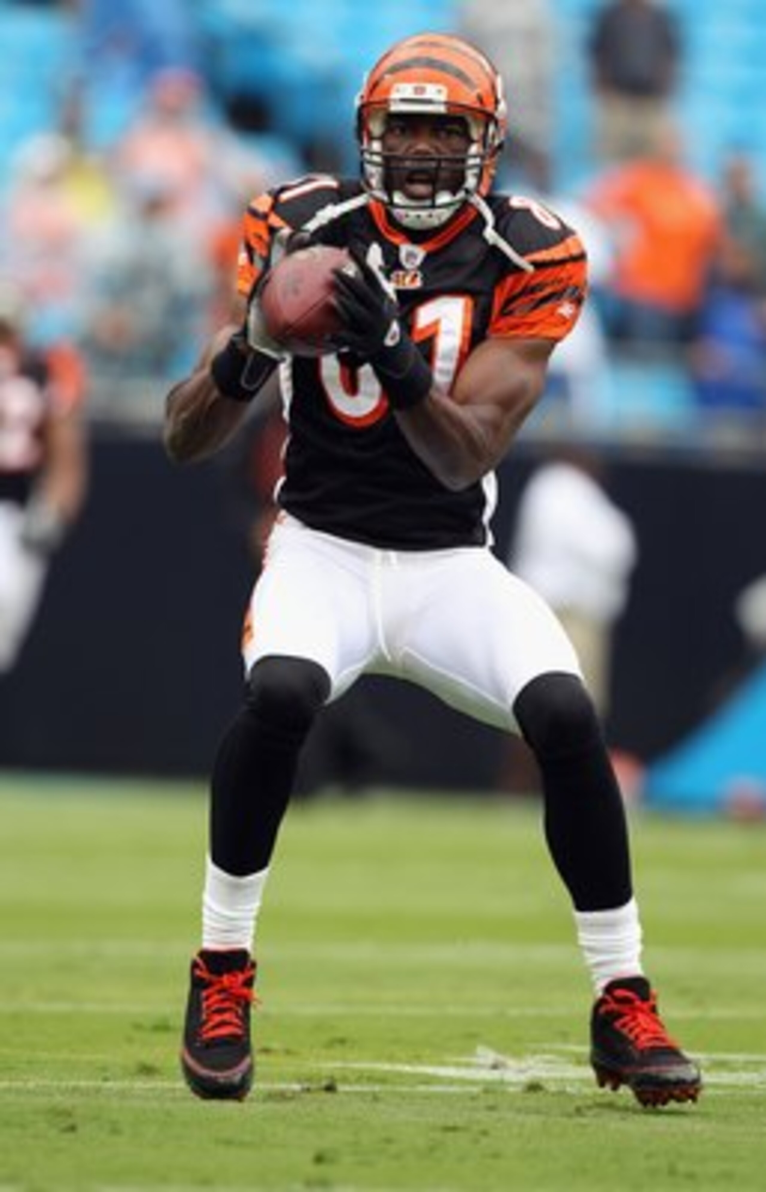 CHARLOTTE, NC - SEPTEMBER 26:  Terrell Owens #81 of the Cincinnati Bengals against the Carolina Panthers during their game at Bank of America Stadium on September 26, 2010 in Charlotte, North Carolina.  (Photo by Streeter Lecka/Getty Images)