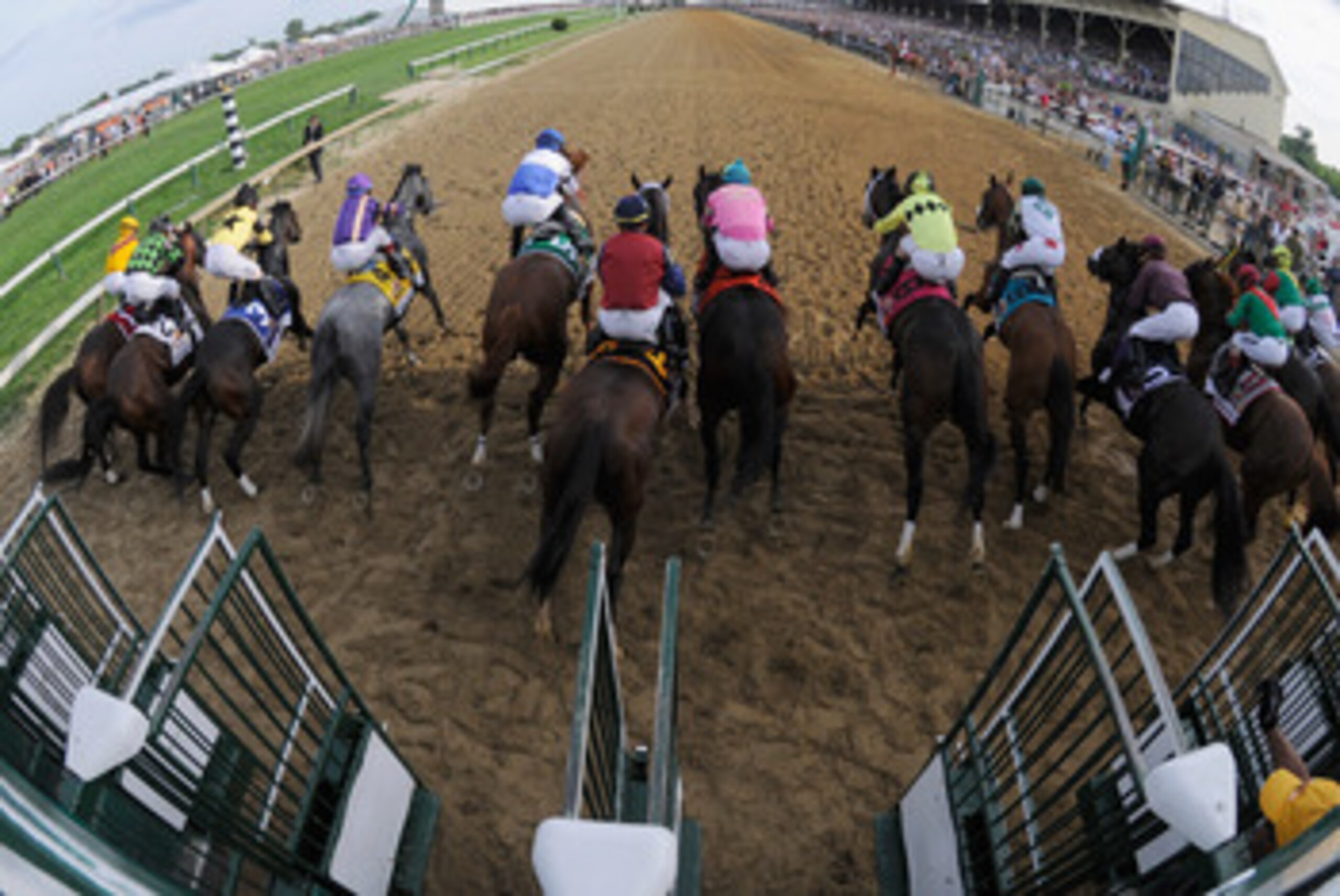 BALTIMORE, MD - MAY 21:  The field breaks from the gate during the 136th running of the Preakness Stakes at Pimlico Race Course on May 21, 2011 in Baltimore, Maryland.  (Photo by Rob Carr/Getty Images)