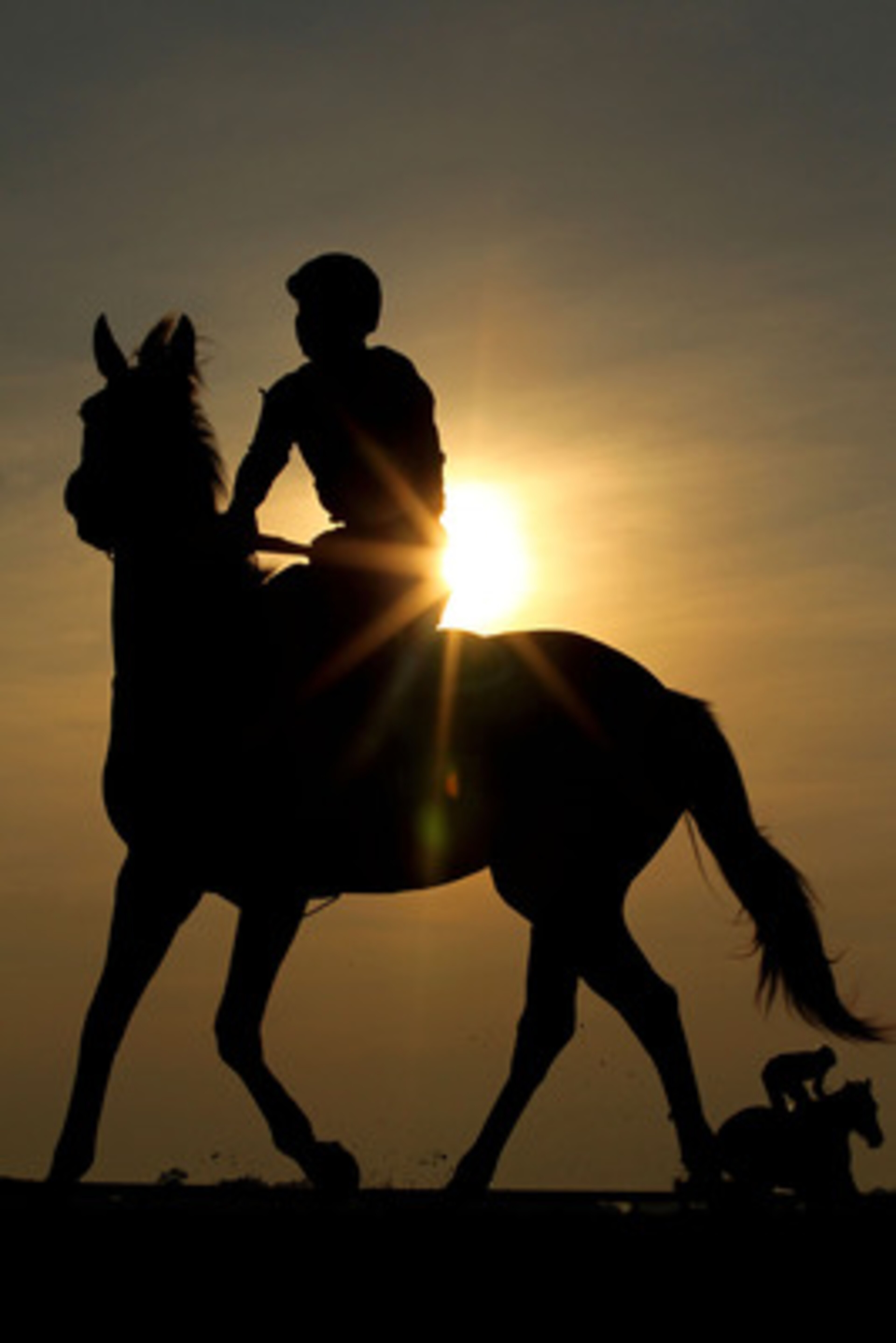 ELMONT, NY - JUNE 08:  A horse and rider work on the track during  a morning training session in preparation for The Belmont Stakes at Belmont Park on June 8, 2011 in Elmont, New York.  (Photo by Al Bello/Getty Images)