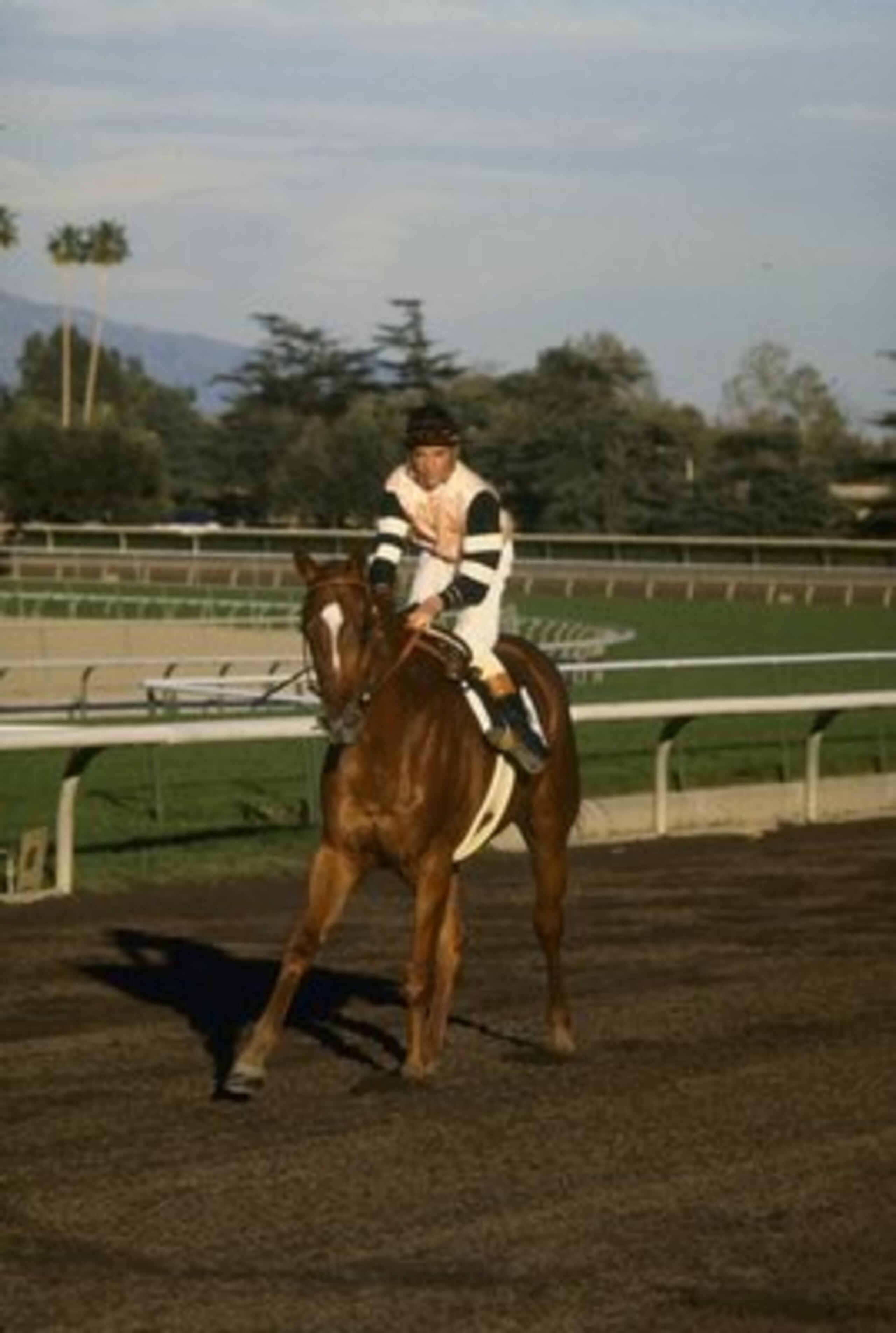 1990:  Steve Cauthen of the USA on Affirmed at a racecourse. \ Mandatory Credit: Allsport UK /Allsport