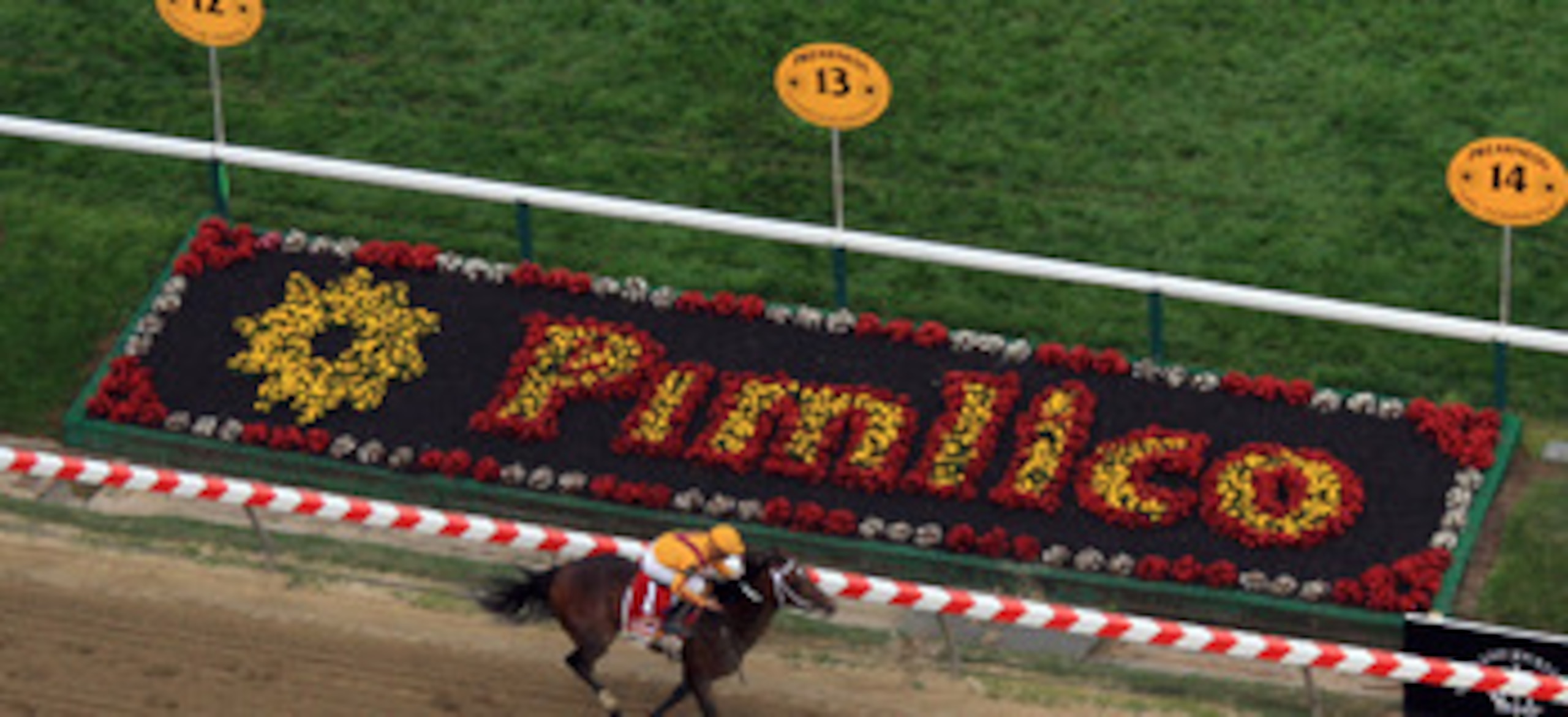 BALTIMORE, MD - MAY 21:  Jockey Jesus Castanon guides Shackleford #5 to victory over Animal Kingdom and jocky John Velazquez #11  and Astrology with jockey Mike Smith #1 to win the 136th running of the Preakness Stakes at Pimlico Race Course on May 21, 20