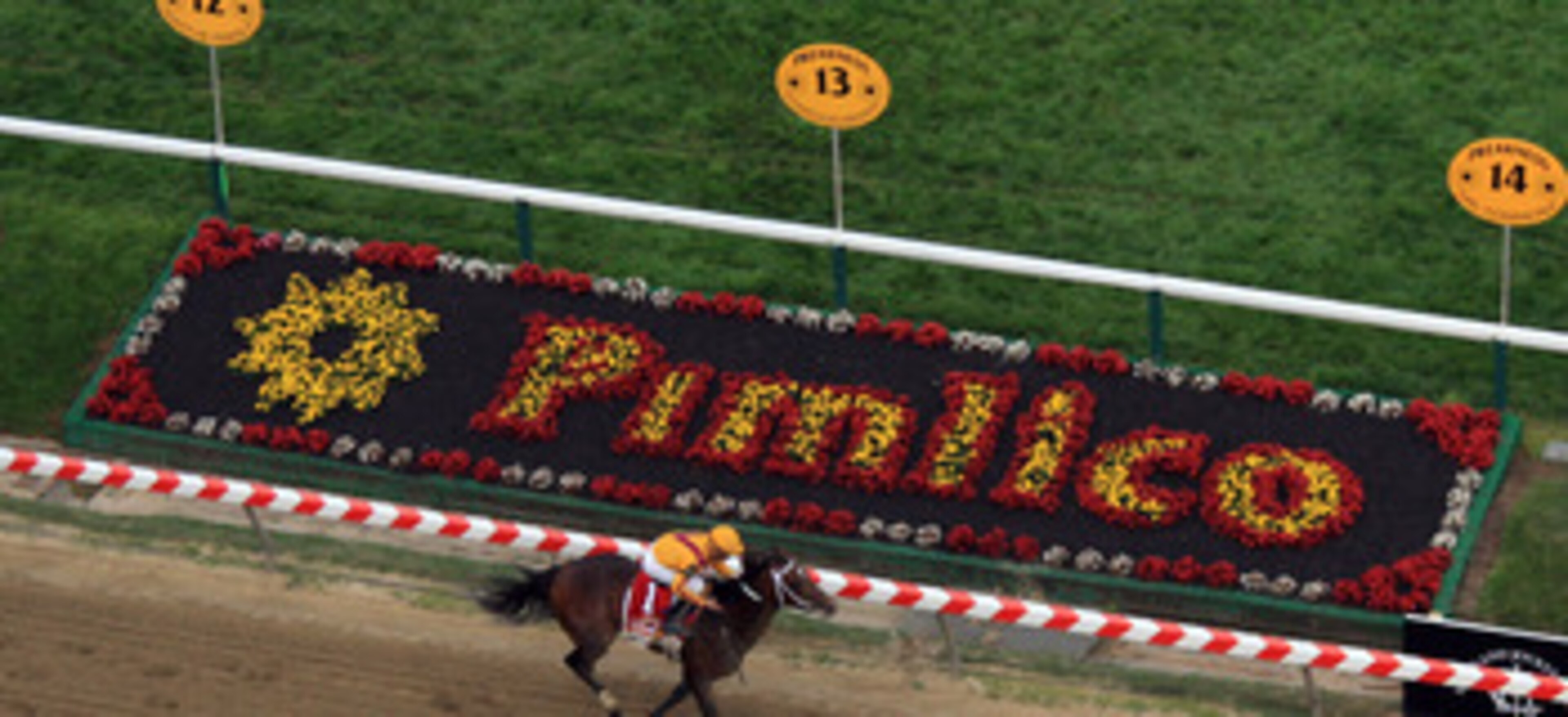 BALTIMORE, MD - MAY 21:  Jockey Jesus Castanon guides Shackleford #5 to victory over Animal Kingdom and jocky John Velazquez #11  and Astrology with jockey Mike Smith #1 to win the 136th running of the Preakness Stakes at Pimlico Race Course on May 21, 20