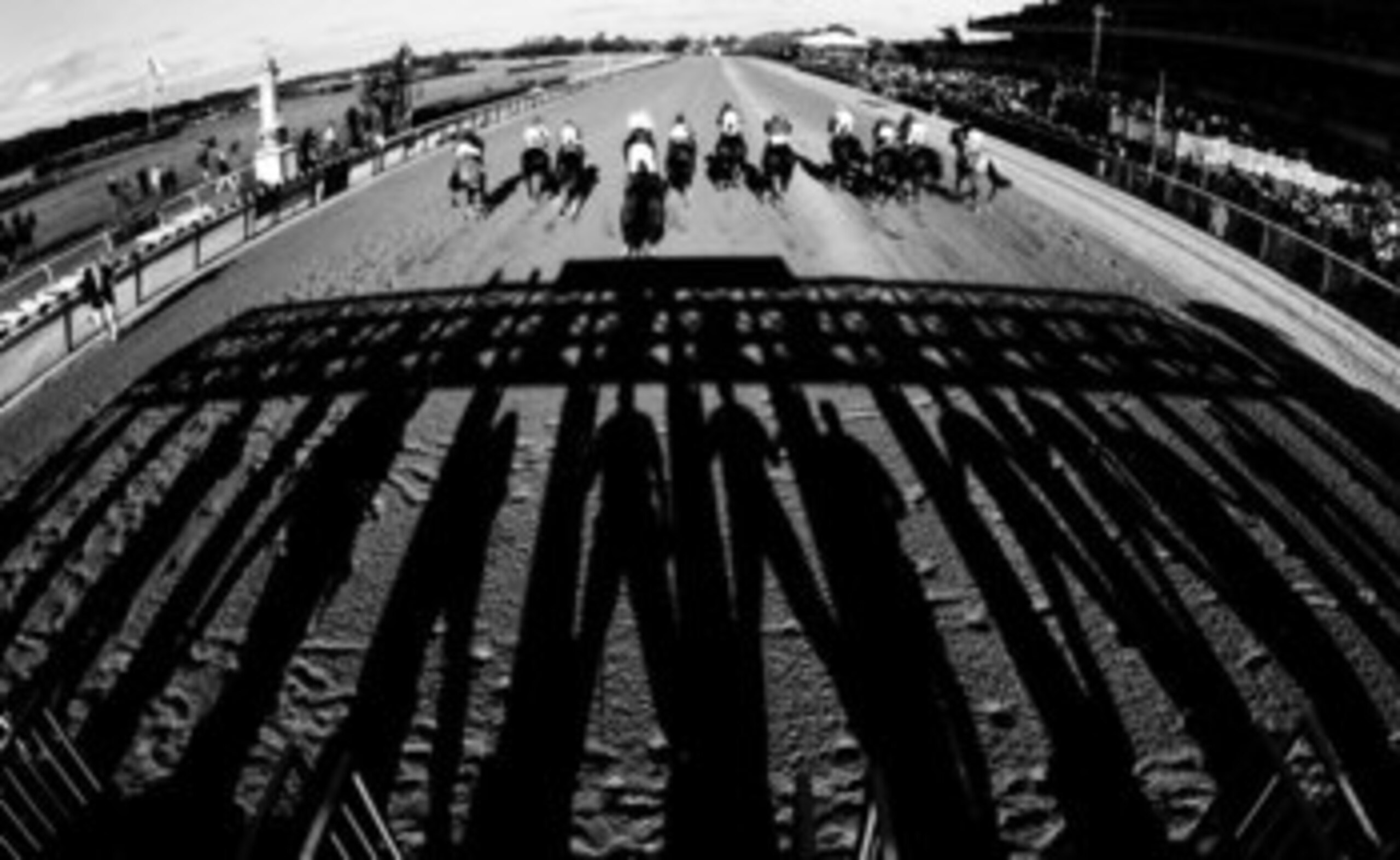 ELMONT, NY - JUNE 10:  EDITORS NOTE: This image has been converted to Black and White.  Horses come out of the gate to start the 138th running of the Belmont Stakes on June 10, 2006 at Belmont Park in Elmont, New York.  (Photo by Streeter Lecka/Getty Imag