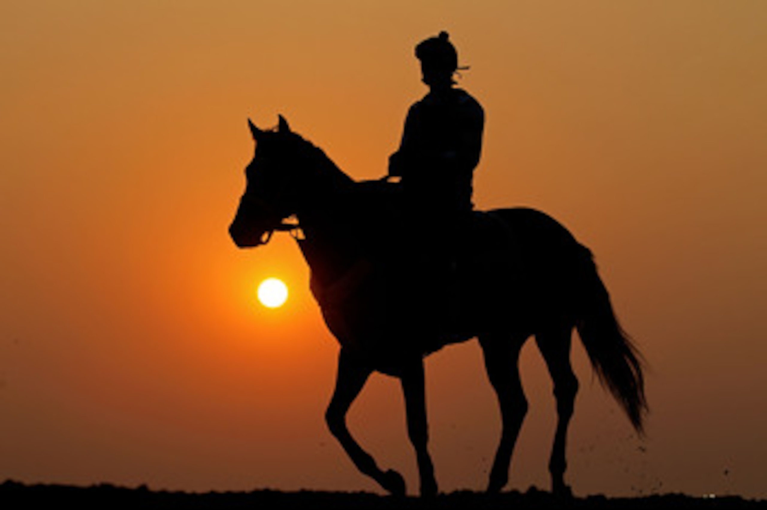 ELMONT, NY - JUNE 09:  A horse and exercise rider work on the track during a morning training session in preparation for The Belmont Stakes  at Belmont Park on June 9, 2011 in Elmont, New York.  (Photo by Al Bello/Getty Images)