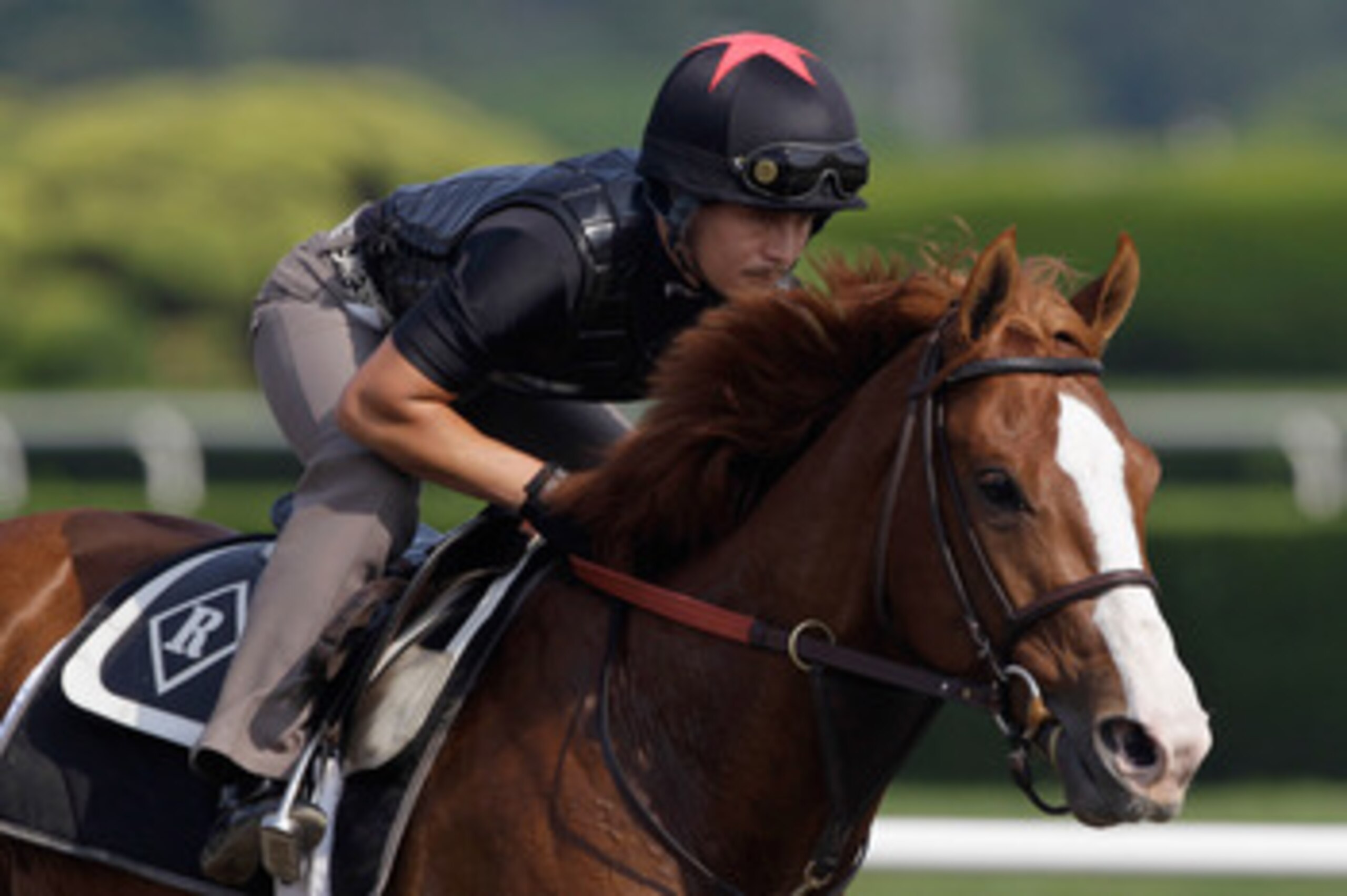 ELMONT, NY - JUNE 10:  Exercise rider Faustino Aguilar takes Shackleford for a morning training session in preparation for the 143rd running of The Belmont Stakes at Belmont Park on June 10, 2011 in Elmont, New York.  (Photo by Rob Carr/Getty Images)