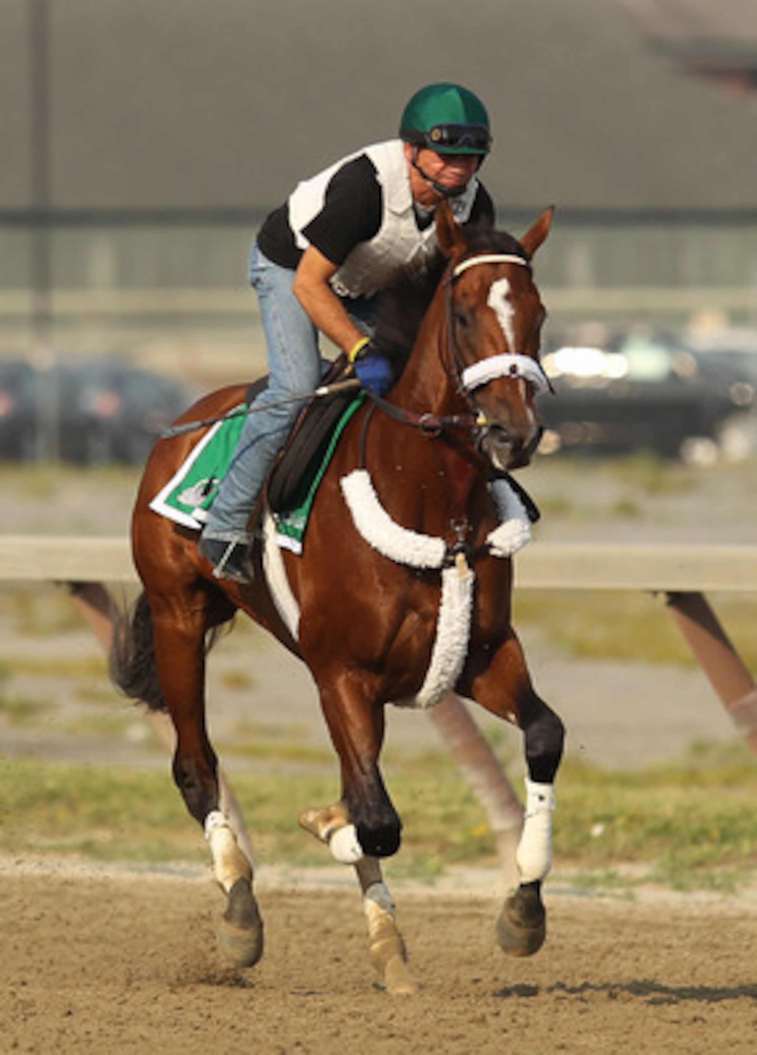 ELMONT, NY - JUNE 08:  Exercise rider Heriberto Pulgar runs Mucho Macho Man during a morning training session in preparation for The Belmont Stakes at Belmont Park on June 8, 2011 in Elmont, New York.  (Photo by Al Bello/Getty Images)