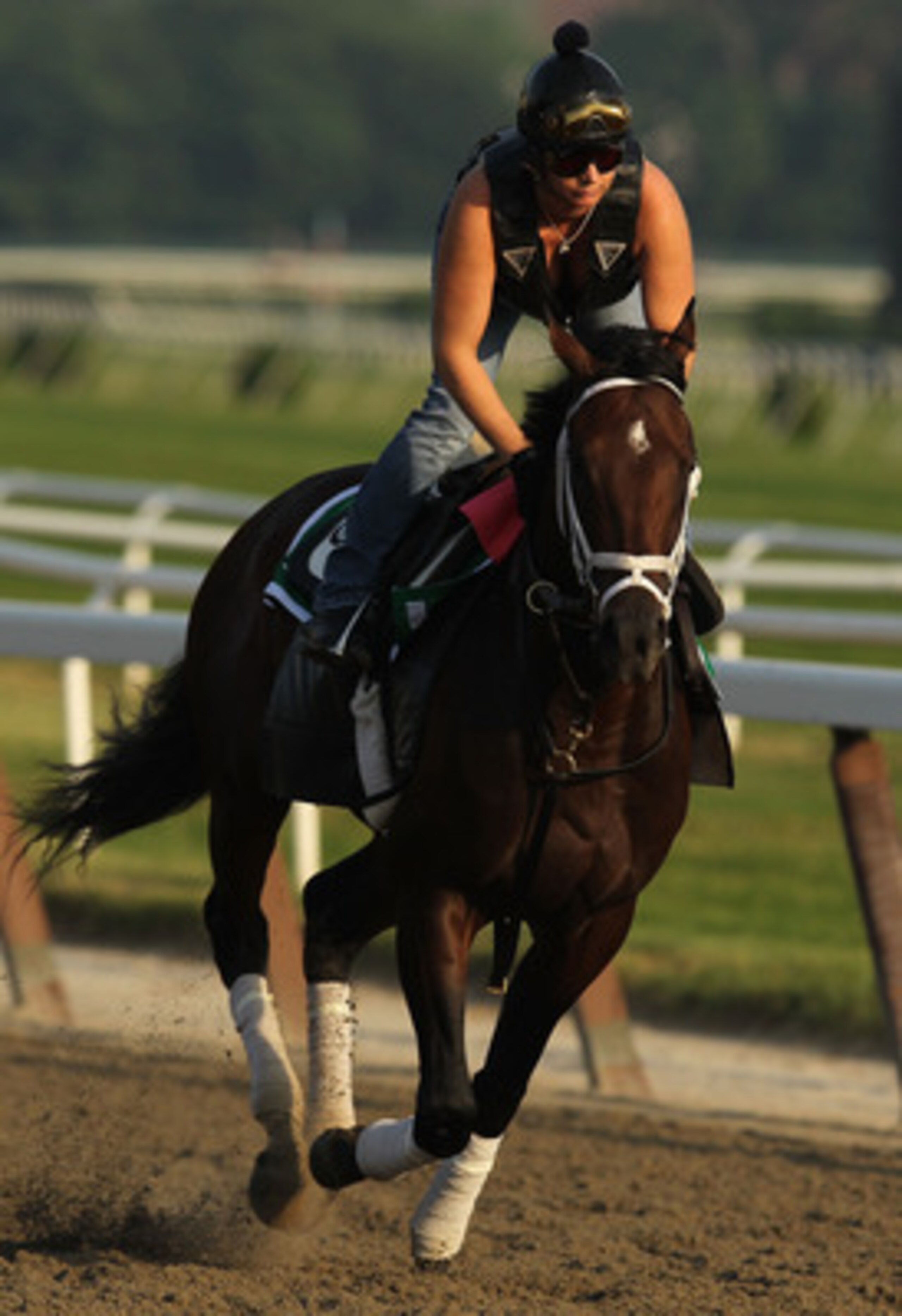 ELMONT, NY - JUNE 08:  Stay Thirsty runs during the morning exercise session in preparation for The Belmont Stakes at Belmont Park on June 8, 2011 in Elmont, New York.  (Photo by Al Bello/Getty Images)