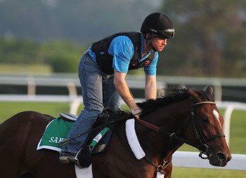 ELMONT, NY - JUNE 09:  Santiva, ridden by Brendan Walsh, runs on the track during a morning training session in preparation for The Belmont Stakes at Belmont Park on June 9, 2011 in Elmont, New York.  (Photo by Al Bello/Getty Images)
