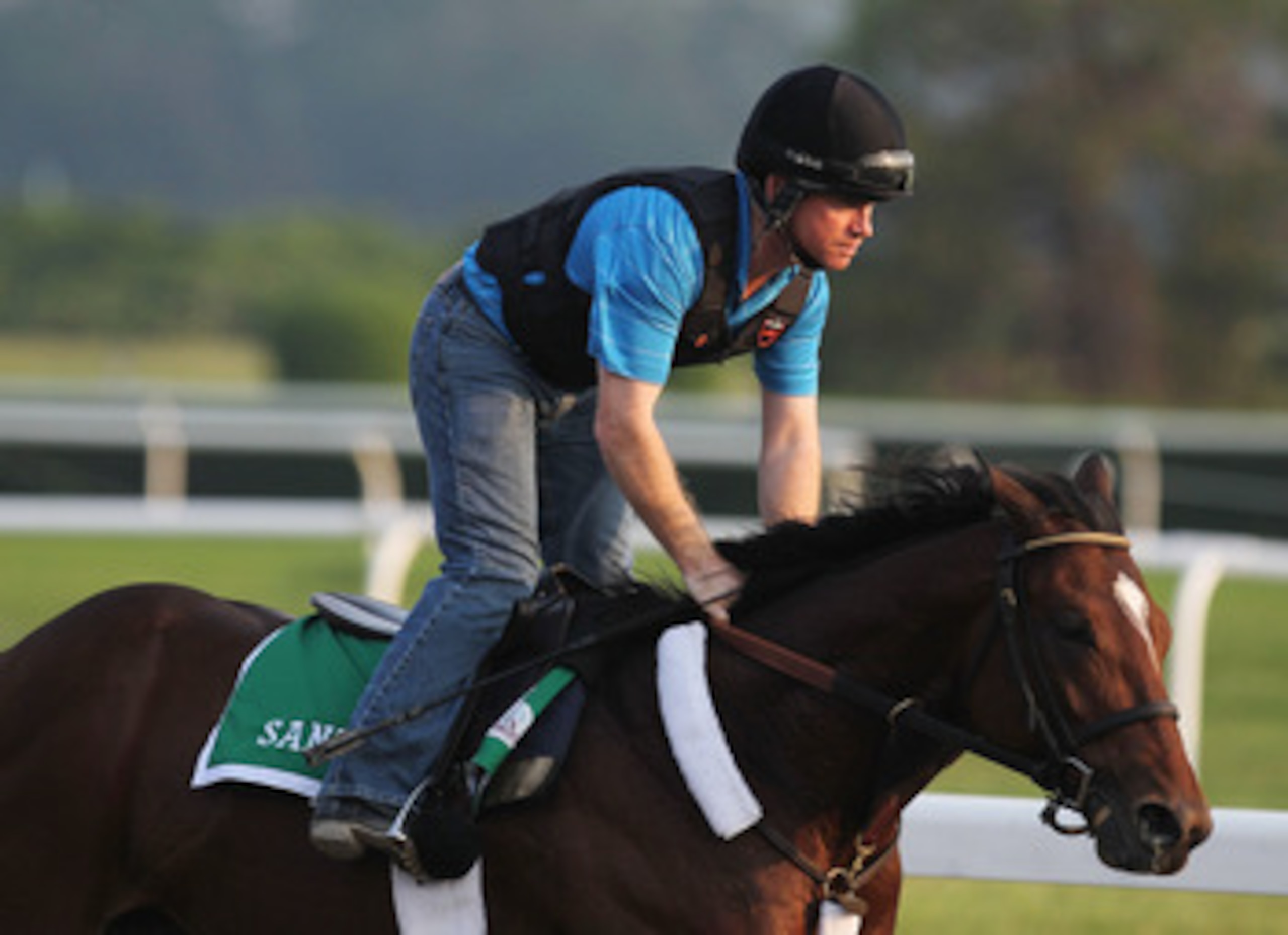 ELMONT, NY - JUNE 09:  Santiva, ridden by Brendan Walsh, runs on the track during a morning training session in preparation for The Belmont Stakes at Belmont Park on June 9, 2011 in Elmont, New York.  (Photo by Al Bello/Getty Images)