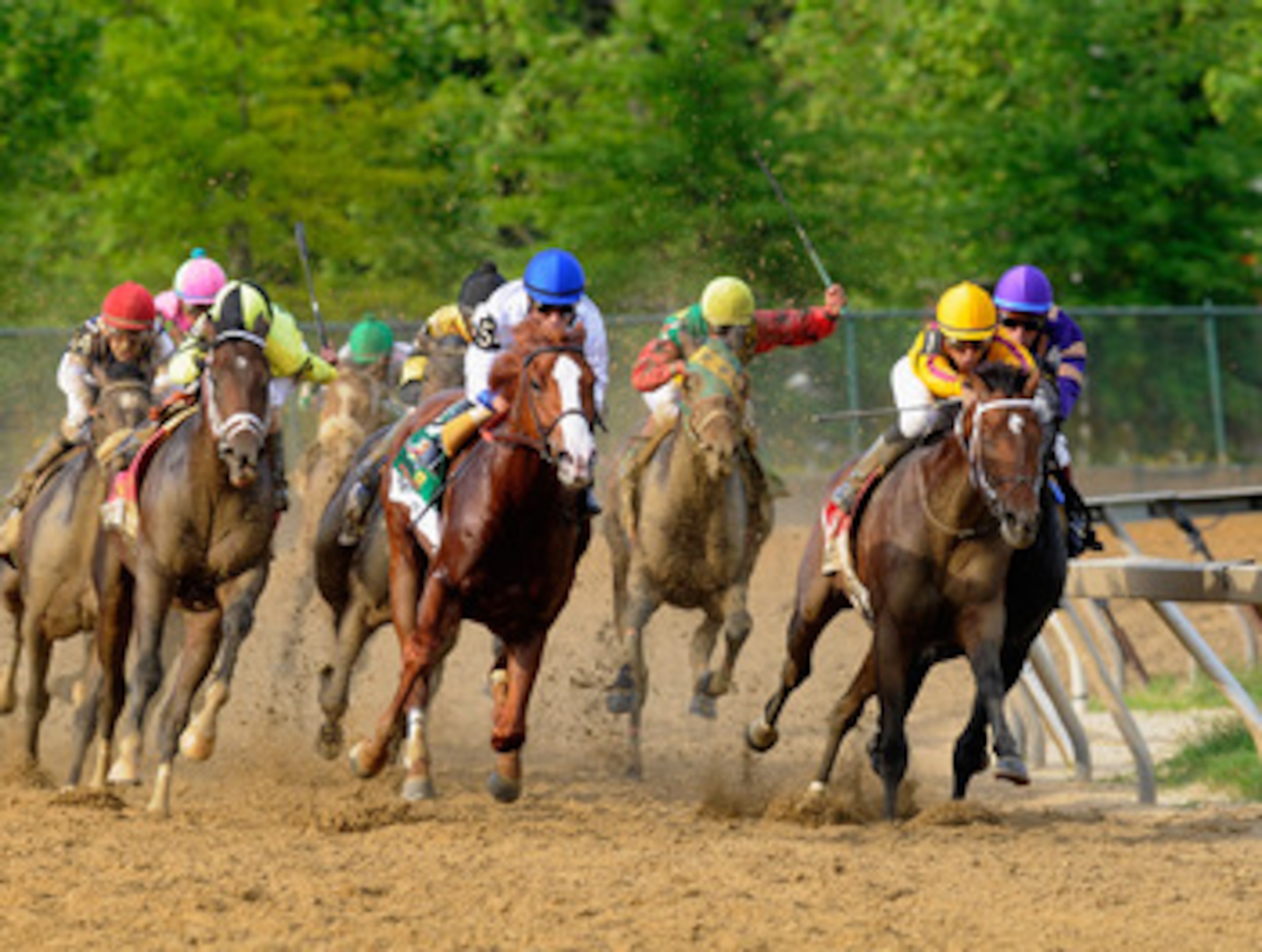 BALTIMORE, MD - MAY 21:  Jockey Jesus Castanon guides Shackleford #5 (C) out of the fourth turn to win the 136th running of the Preakness Stakes at Pimlico Race Course on May 21, 2011 in Baltimore, Maryland.  (Photo by Rob Carr/Getty Images)